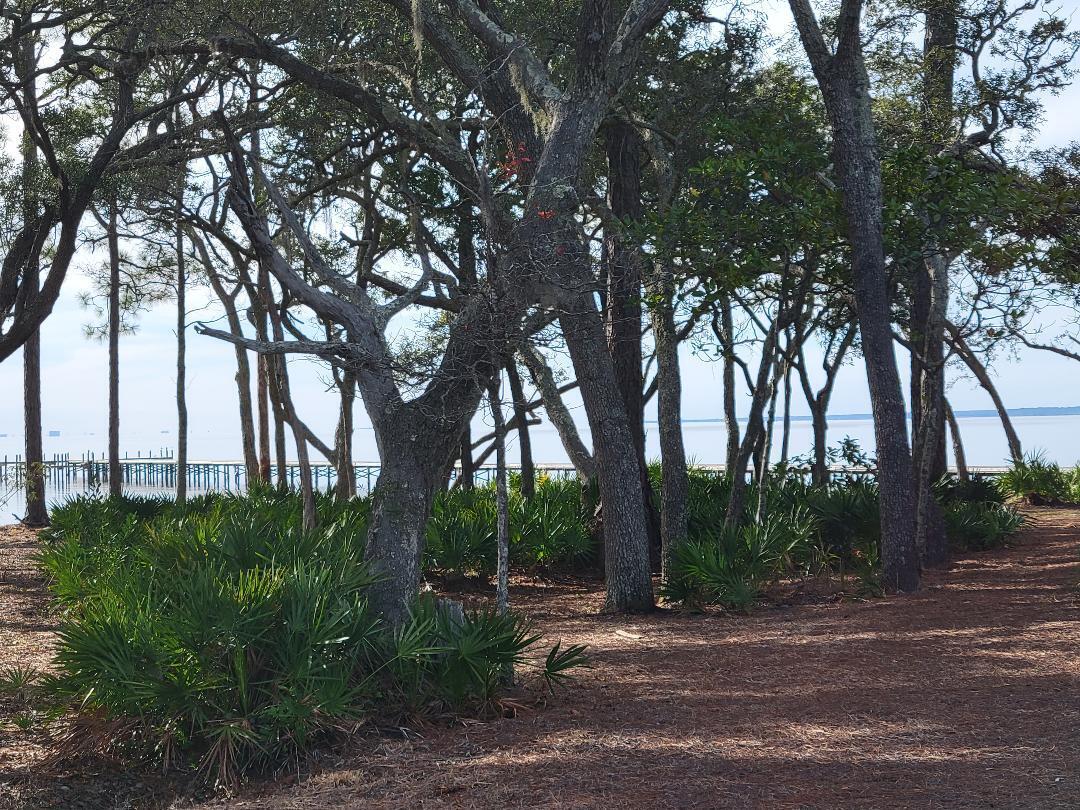 Hammock Bay - Moonswept - Residential Lease