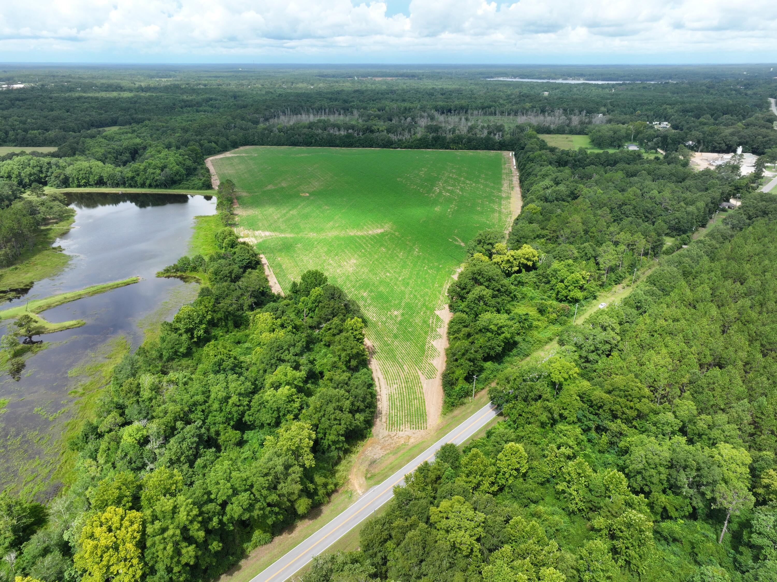 Tucked away in the tranquil countryside of North Walton County, this large property offers the perfect balance of seclusion and convenience. Ideally located near Paxton and the Alabama state line, with the sparkling waters of Lake Jackson just a short drive away—perfect for fishing, boating, and outdoor activities.

Whether you envision building a custom home surrounded by natural beauty, establishing a thriving working farm, or investing in agricultural land, this property offers exceptional potential.

Currently leased for crop cultivation, it provides an excellent opportunity for continued agricultural use or crafting your own private rural retreat.

With two parcels included in the sale, this is your chance to secure a substantial piece of Walton County's natural beauty.