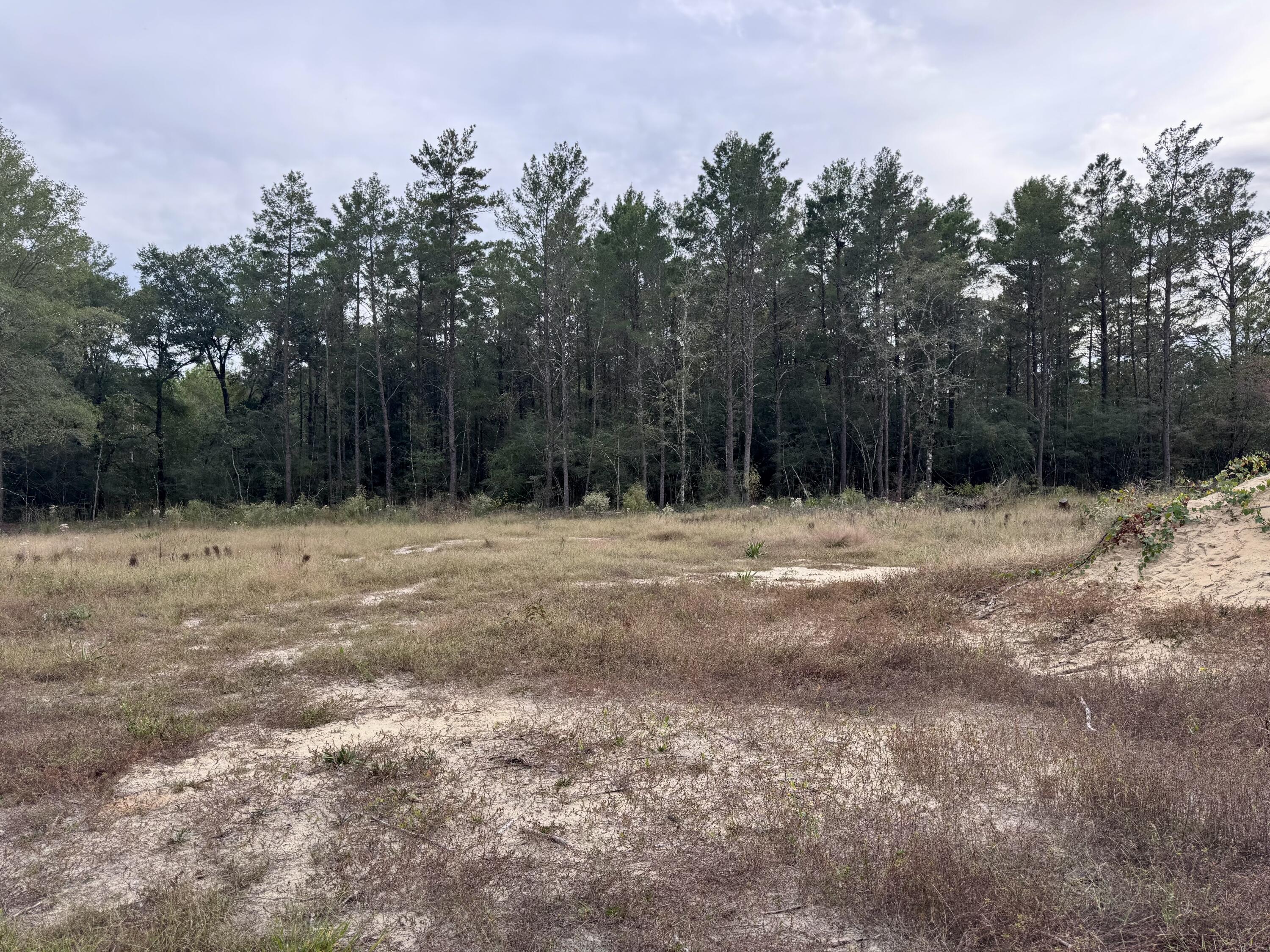 OAKWOOD HILLS UNIT 2 - Land