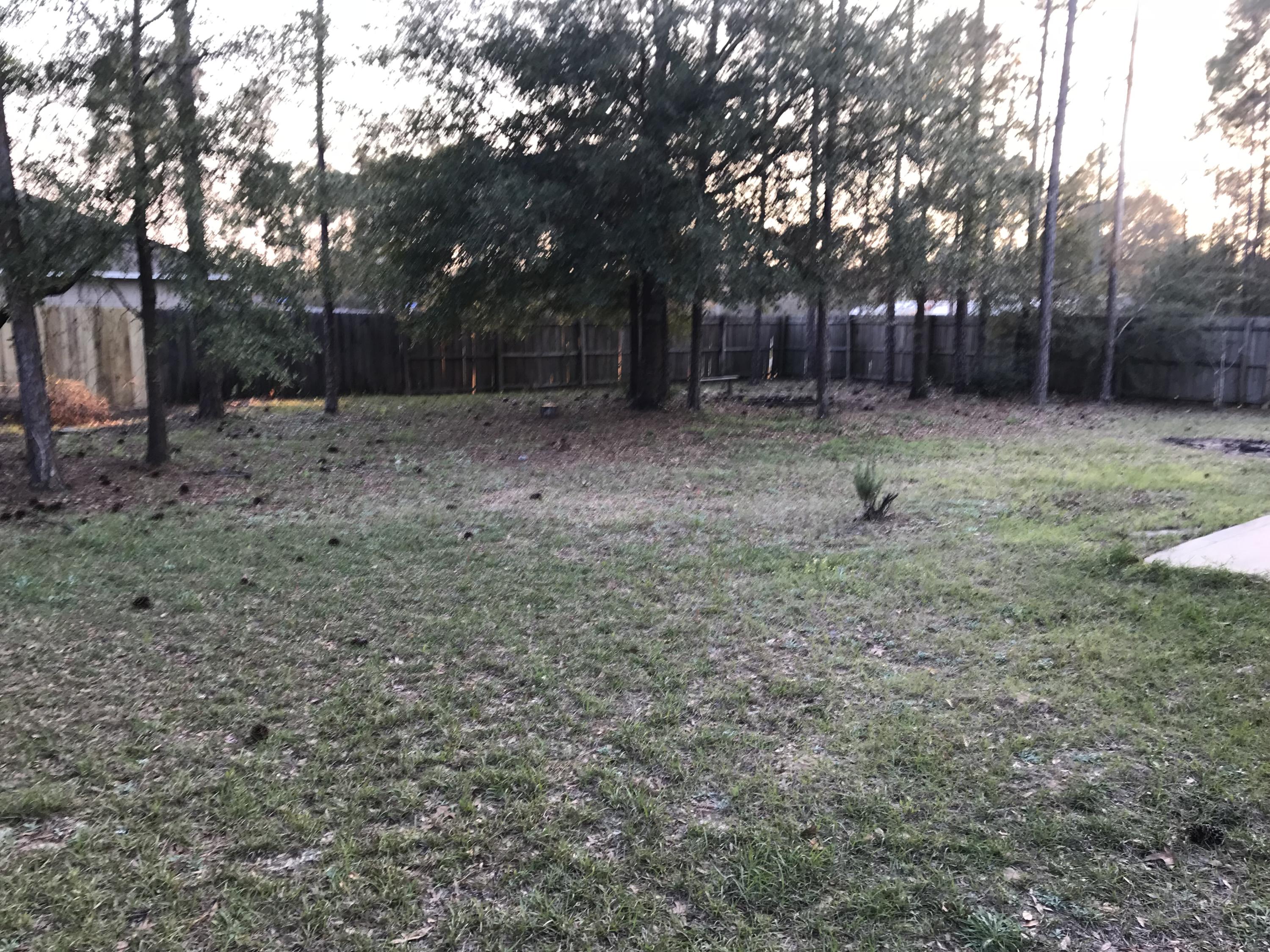 THE PINES - Residential Lease