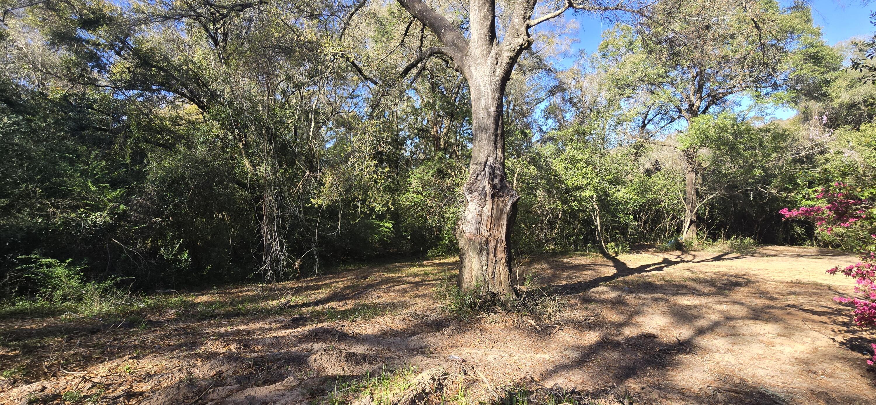 SULLIVANS ADDN LOT 2 BLK 13 - Land