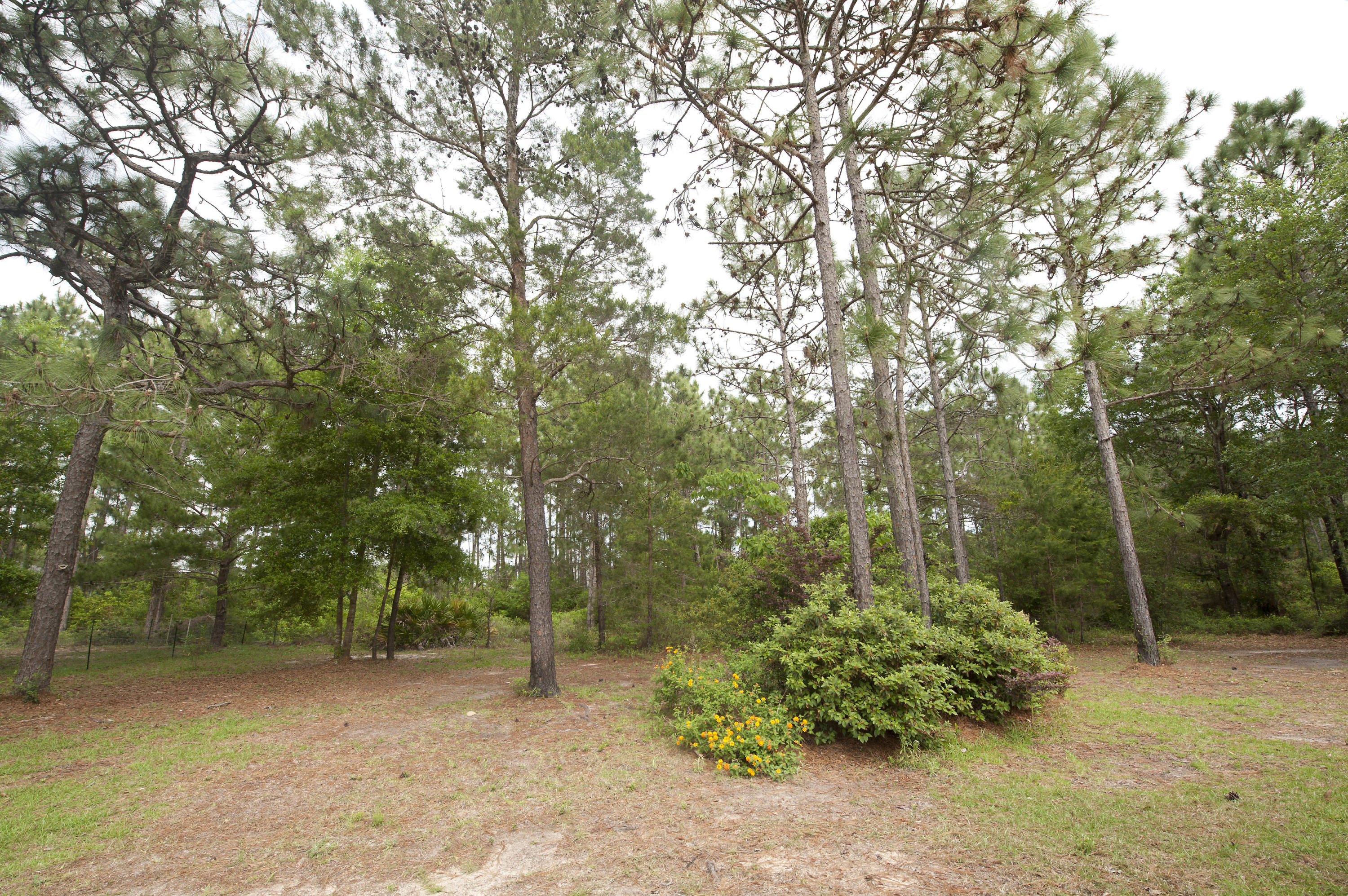 HOLLEY BY THE SEA, 1ST ADD - Residential