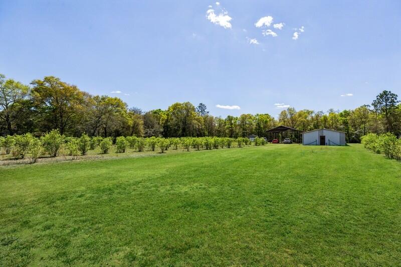 RARE FIND...Working USDA Qualified Farm and Apiary with a residence and workshops and featuring over 500 blueberry trees as well as a smaller assortment of fig and olive trees and a muscadine orchard to boot!  Oh, how about a six stall barn set up for raising any kind of fowl with wire and pass-throughs set up between them? 
 Very clean and efficient residence features a large living area up front, a comfortable bedroom and common area and cozy eat-in kitchen with all of the creature comforts.  On the grounds, you will also find another large barn divided into sections including two workshops, a wine cellar, expansive dry storage area and housing a 15.5' x 17.5' walk in freezer (not currently connected/charged) Additionally, there is a large shed currently used for all of the beekeeping materials for the 4 active hives currently residing on the property.  Also, a large pole barn / RV / Equipment cover that measures 33' long and 17' wide.  A small green house will remain with the property as well.  Too many features to list in this great working USDA qualified farm that is transferable.  Make your appointment to view this property today!