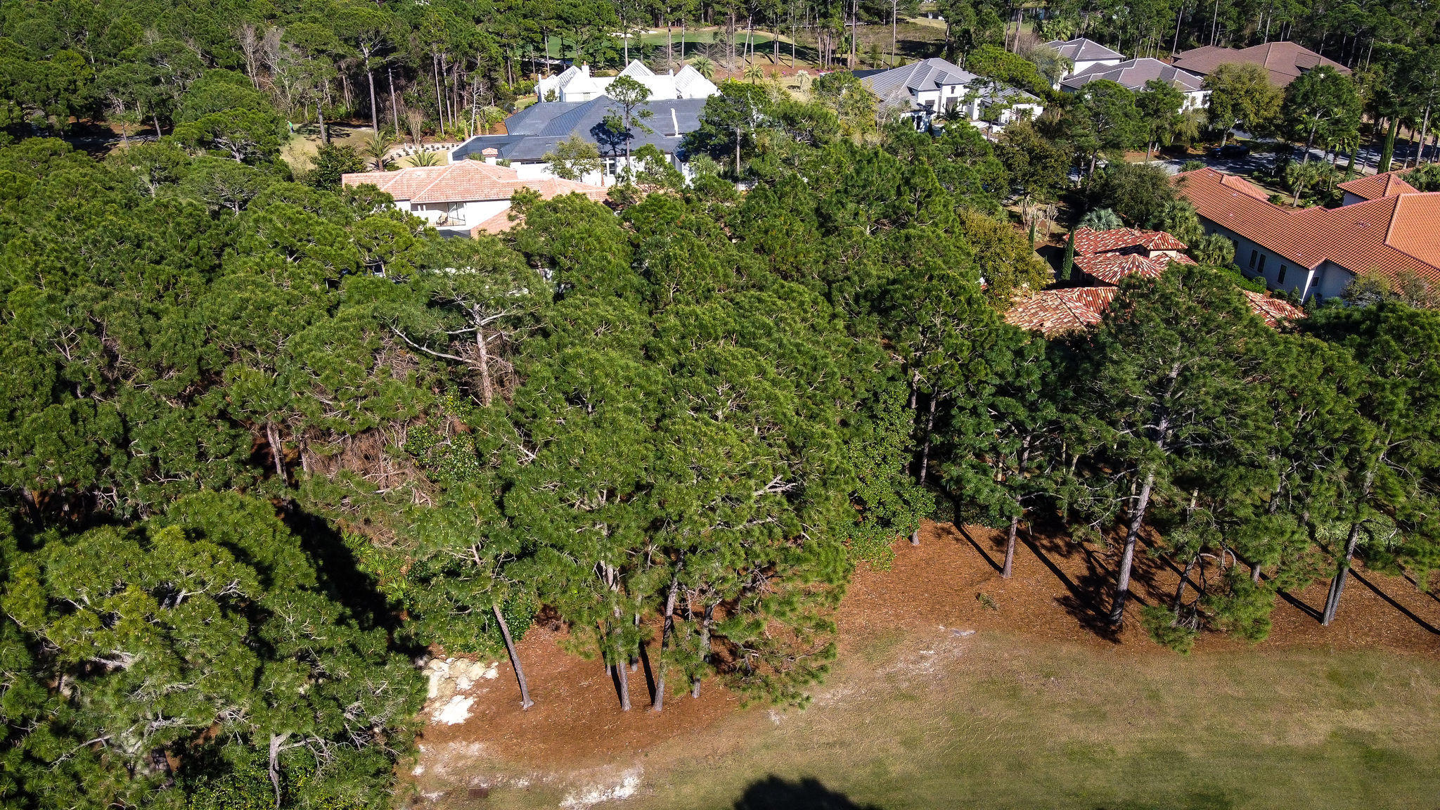 Burnt Pine - Land