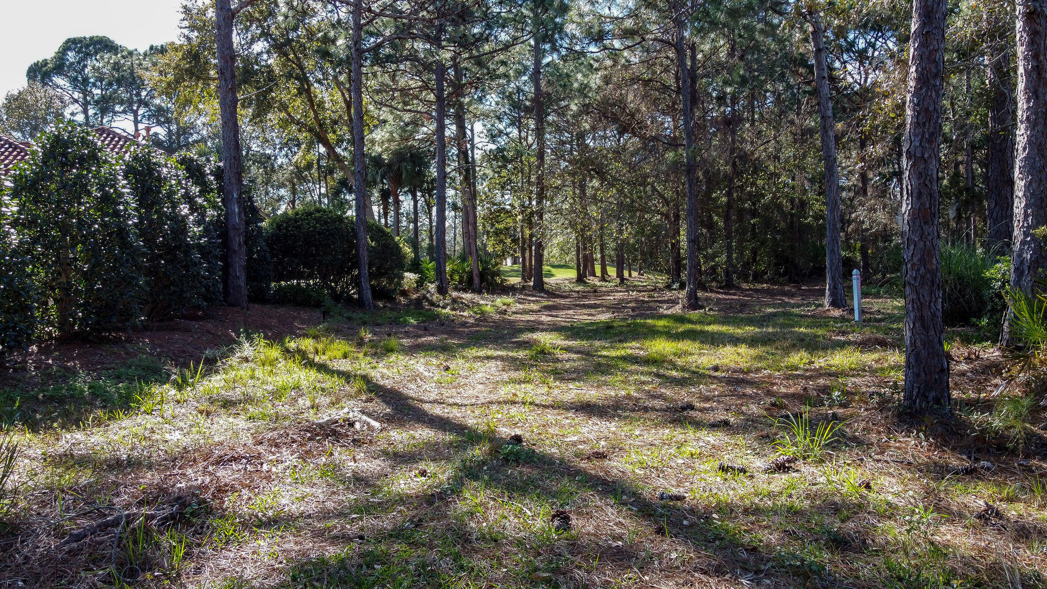 Burnt Pine - Land