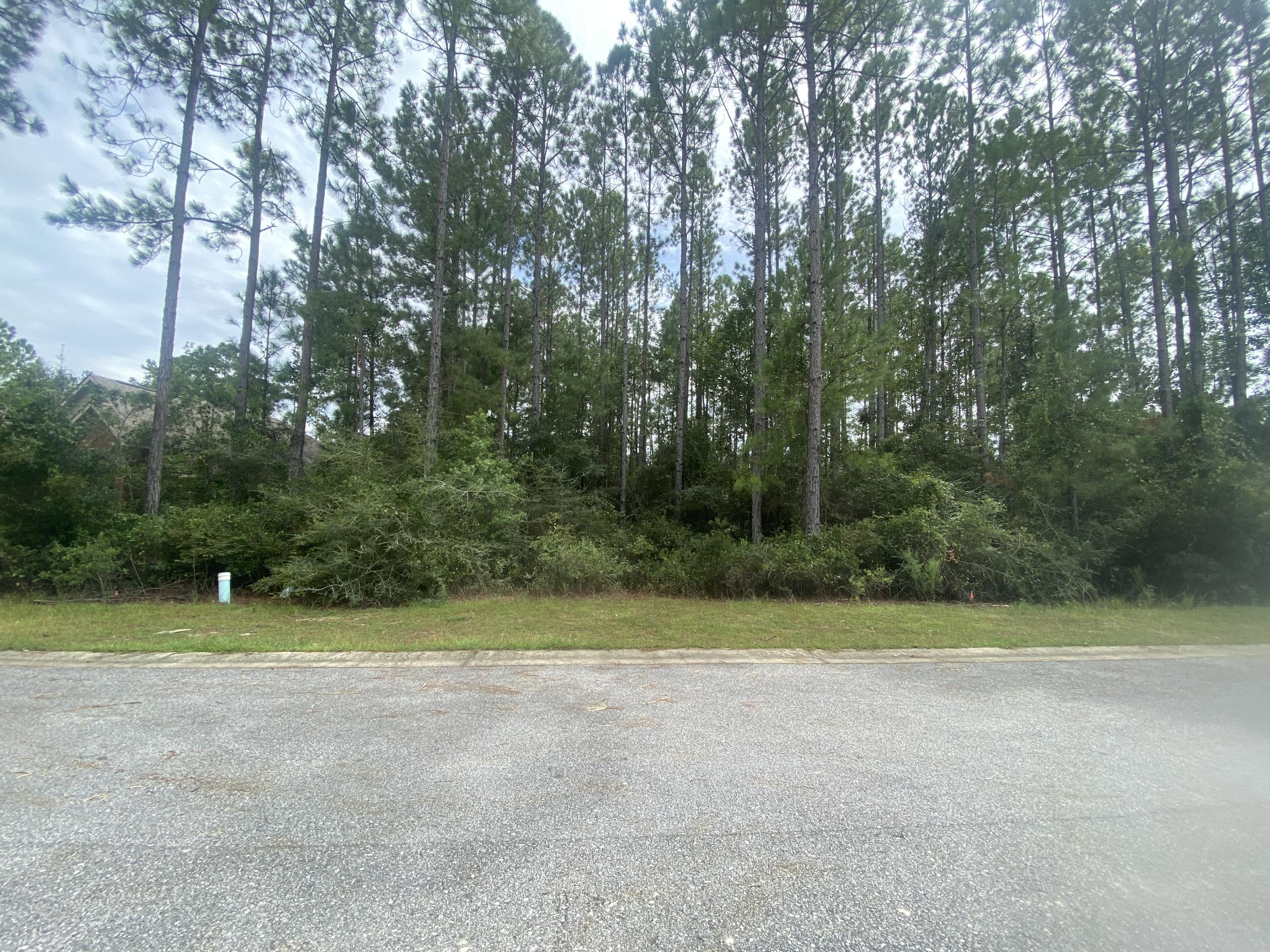 HAMMOCK BAY - Land