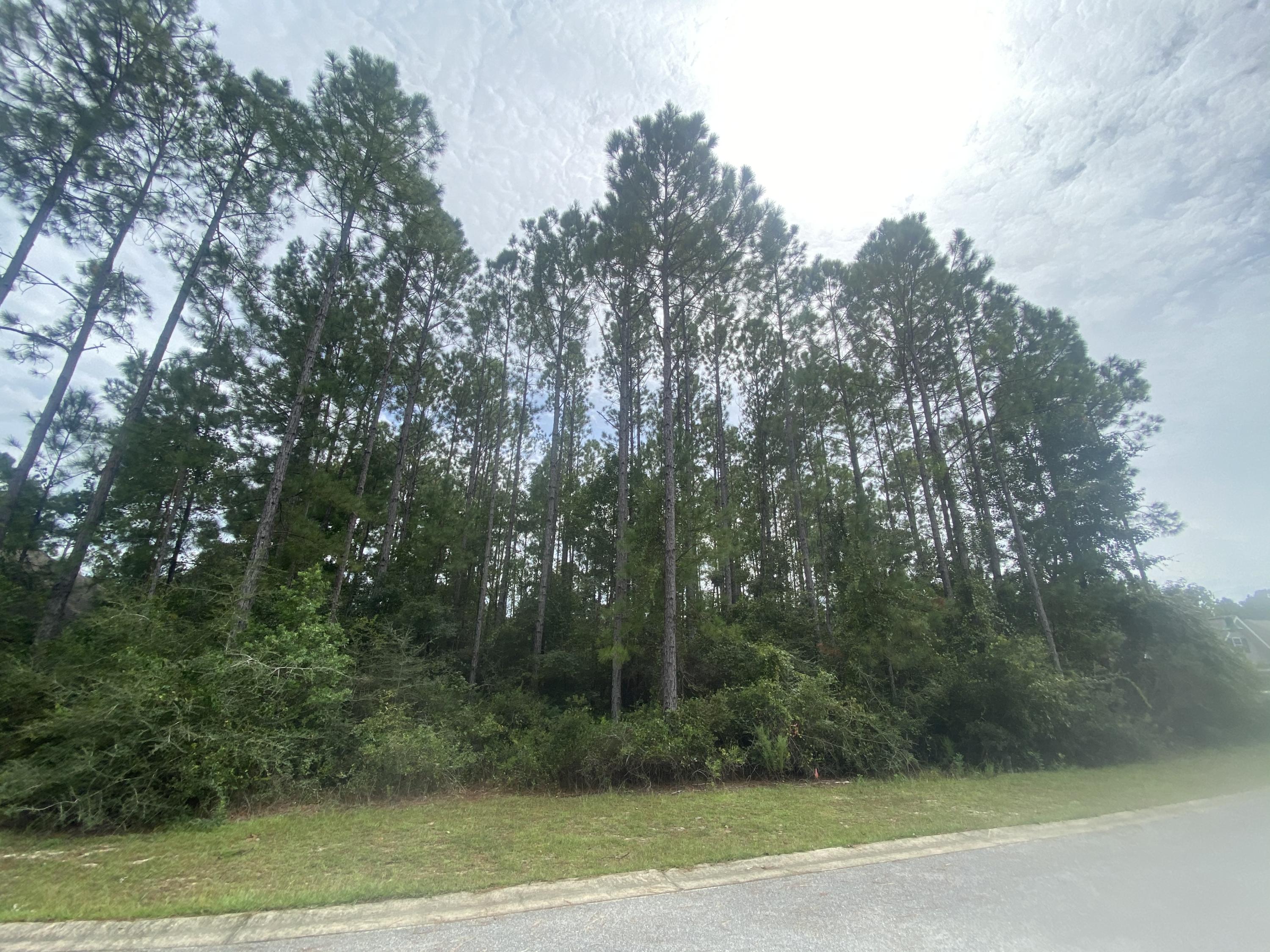 HAMMOCK BAY - Land