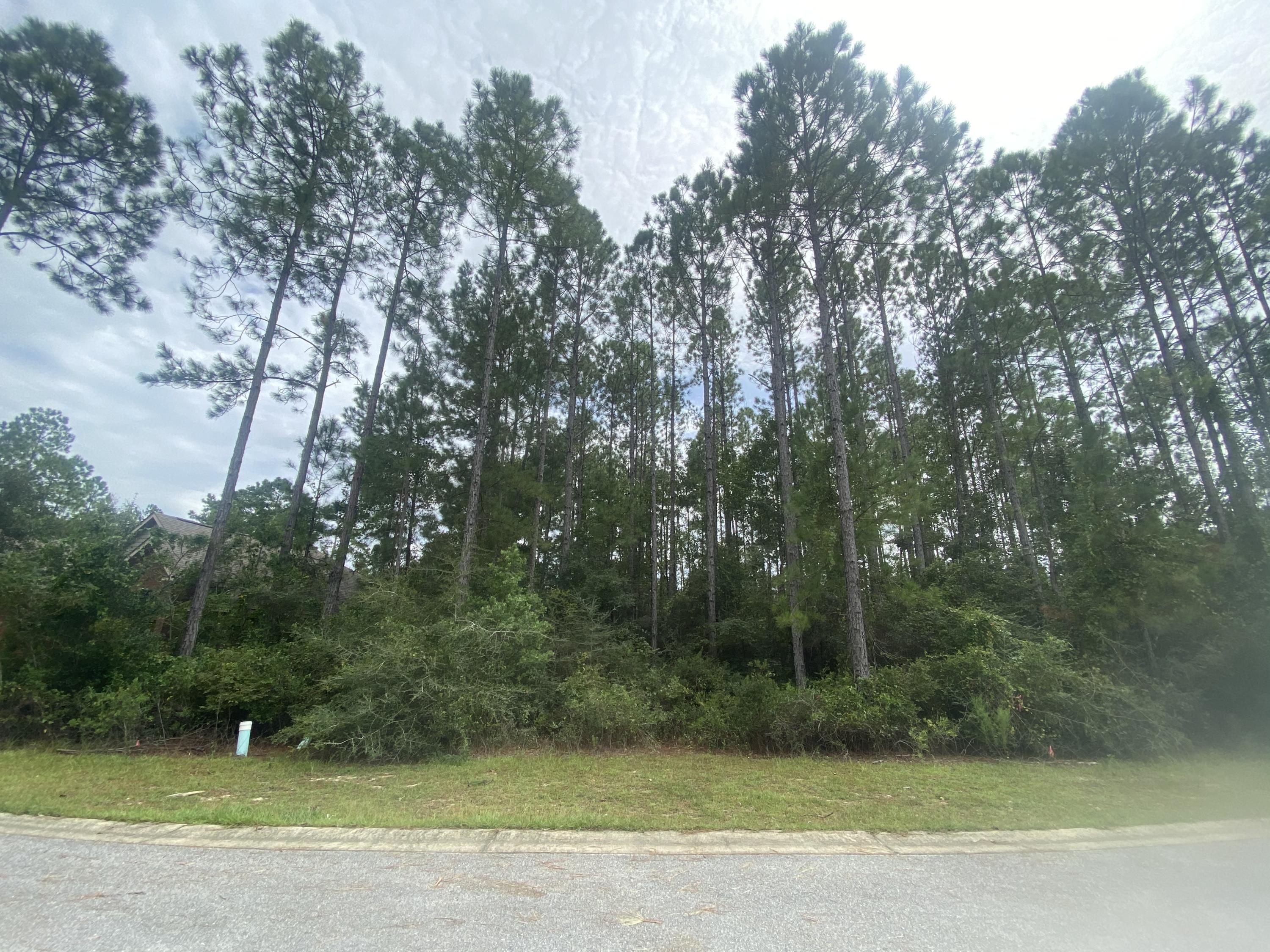 Hard to find Hammock Bay preserve view lot! Build your dream home with amazing natural views. This large lot is located on a quiet street in the popular Symphony subdivision.
Hammock Bay is in growing Freeport, FL, not far from beaches, entertainment and bases.  Hammock Bay is a master planned community offering world class amenities.  Enjoy miles of recreational paths, pickleball courts, tennis, multiple pools, fitness center, mini golf, frisbee golf, Lake Club, fishing dock, Bay Club, stocked ponds throughout community,dog park , private theatre, outdoor concert area, splash pad, general store, nightly food trucks (available most evenings), bi monthly farmer's markets, community festivals and more! Resort style landscaping in all common areas. Make Hammock Bay your home today!