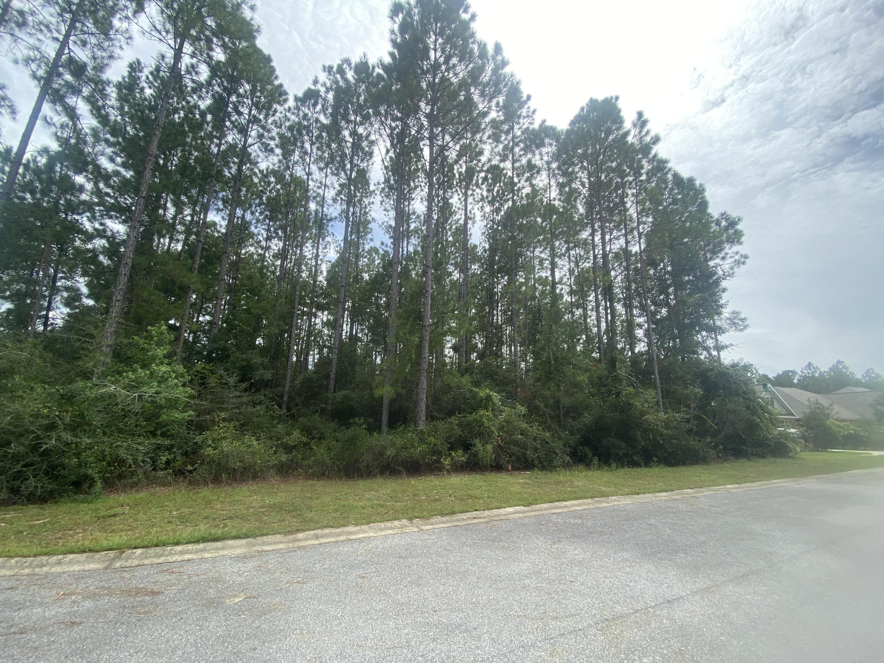 HAMMOCK BAY - Land