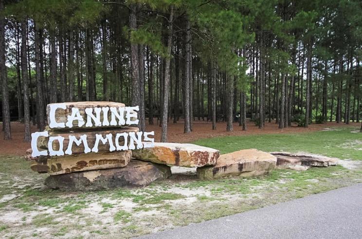 HAMMOCK BAY - Land