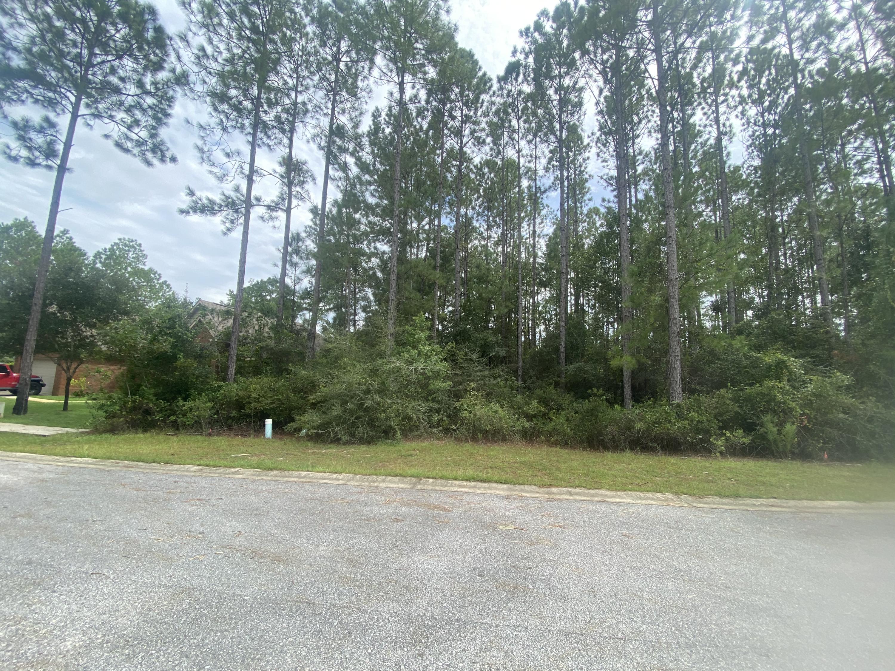 HAMMOCK BAY - Land