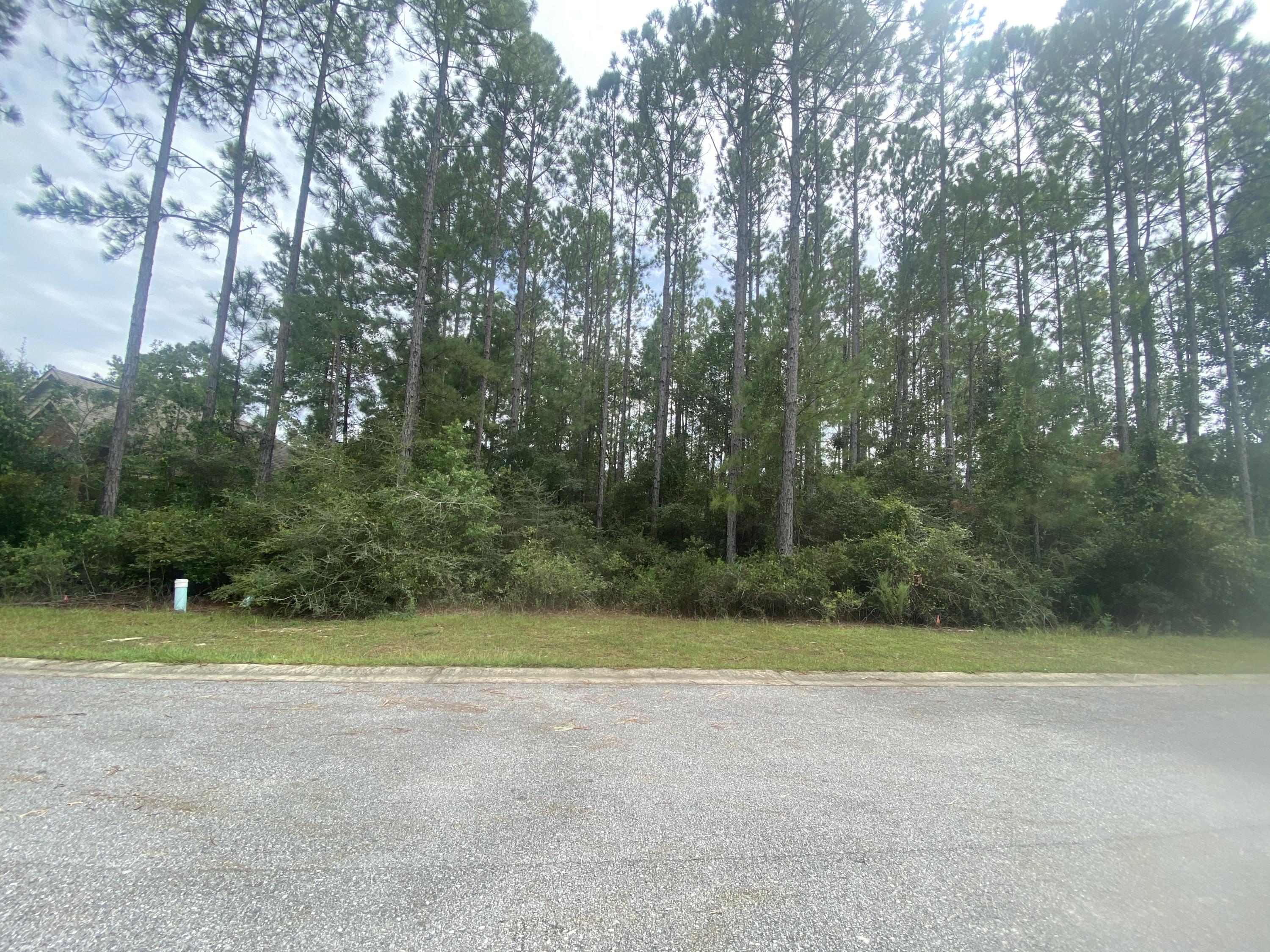 HAMMOCK BAY - Land