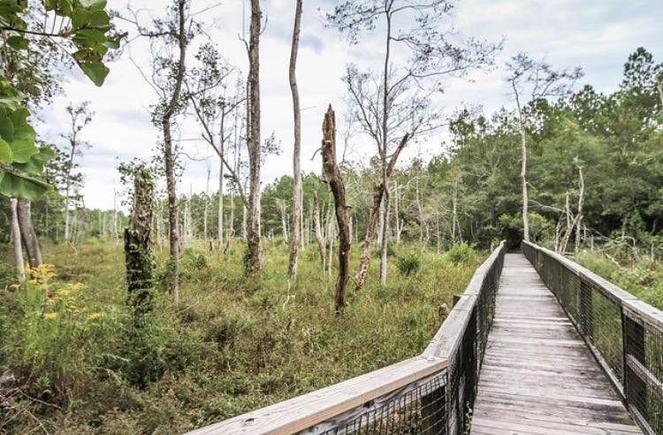 HAMMOCK BAY - Land