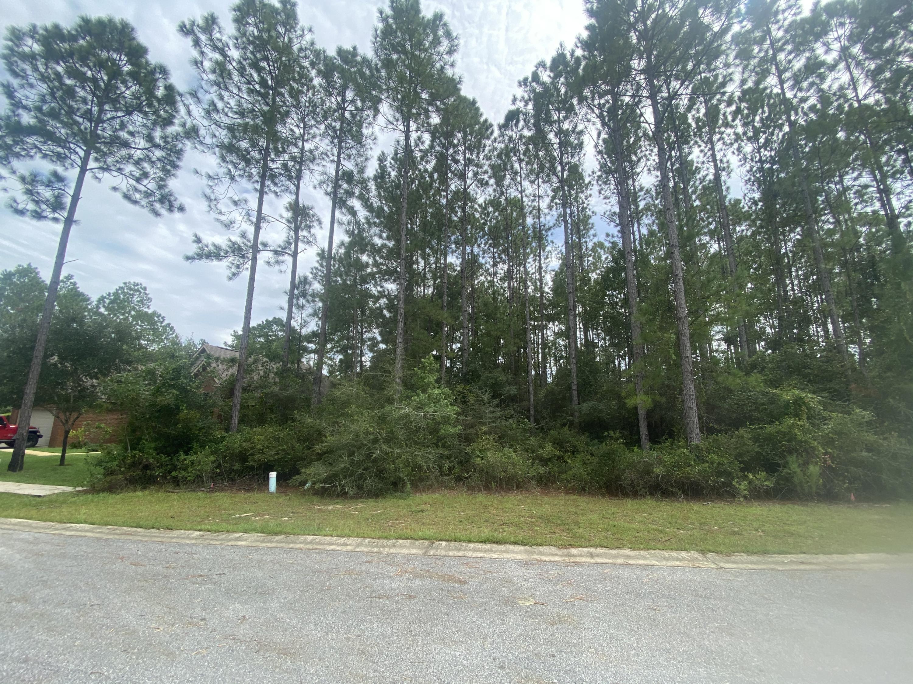 HAMMOCK BAY - Land