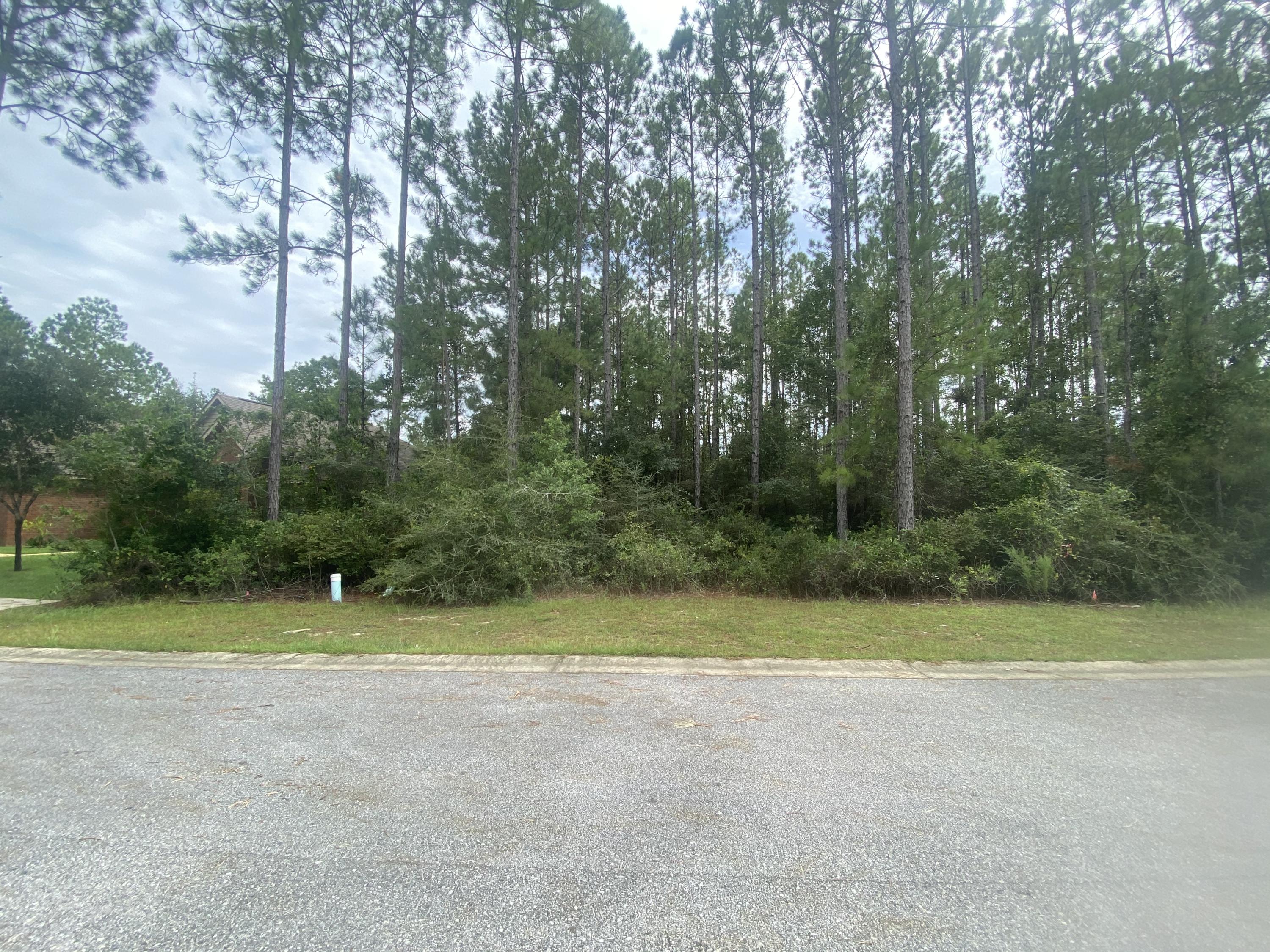 HAMMOCK BAY - Land