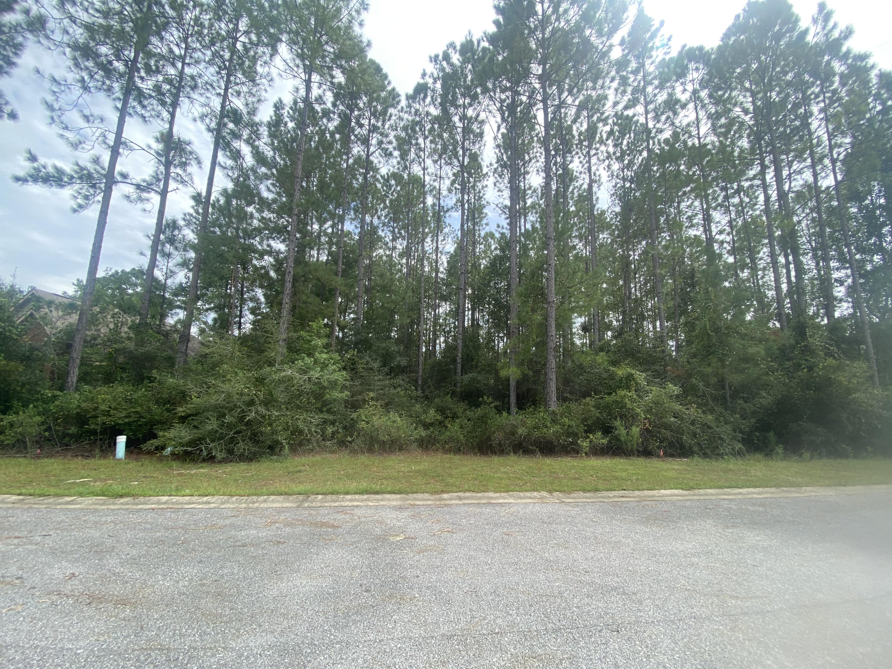 HAMMOCK BAY - Land