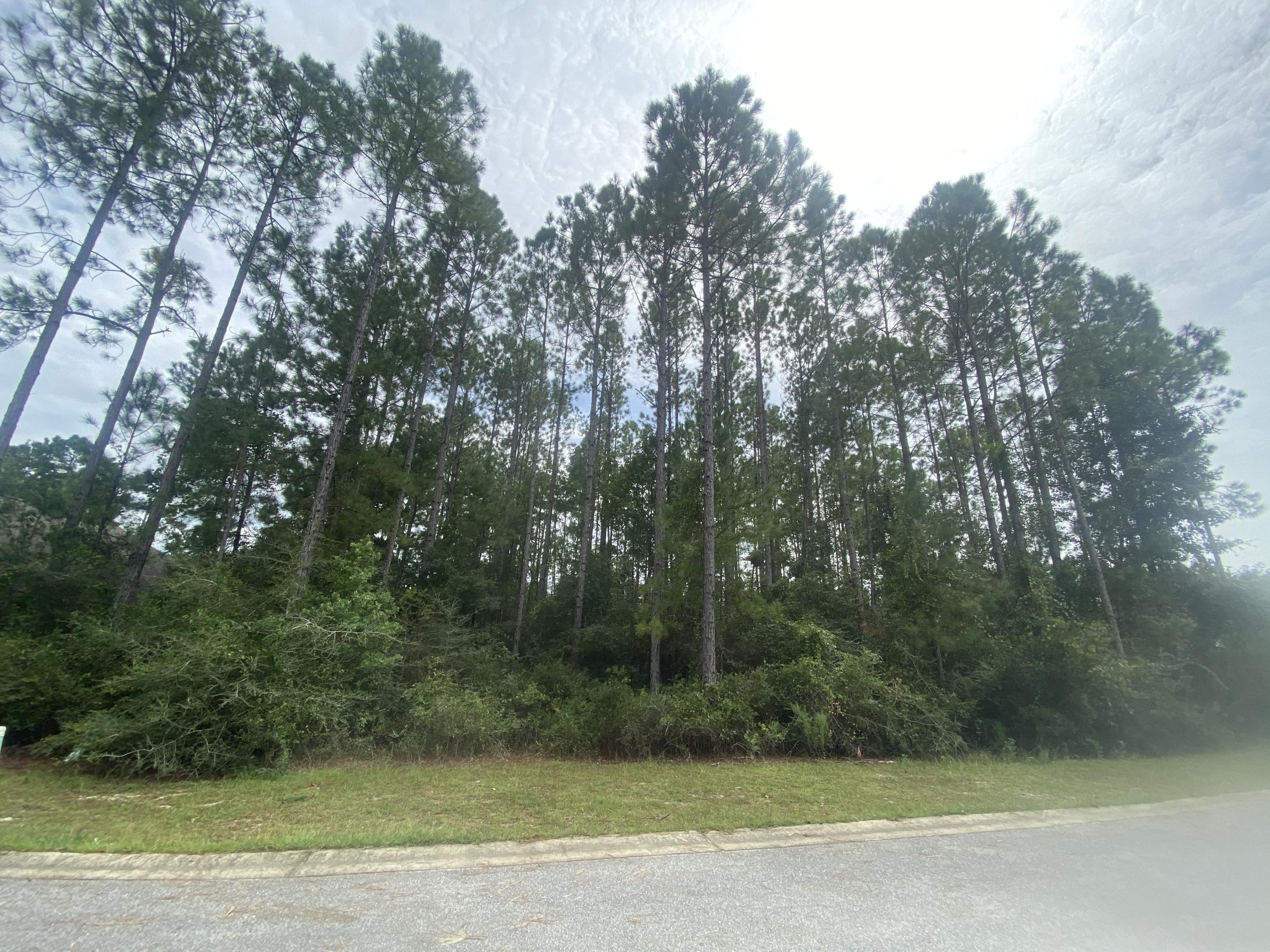 HAMMOCK BAY - Land