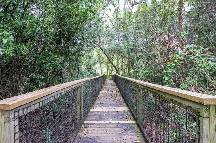 HAMMOCK BAY - Land
