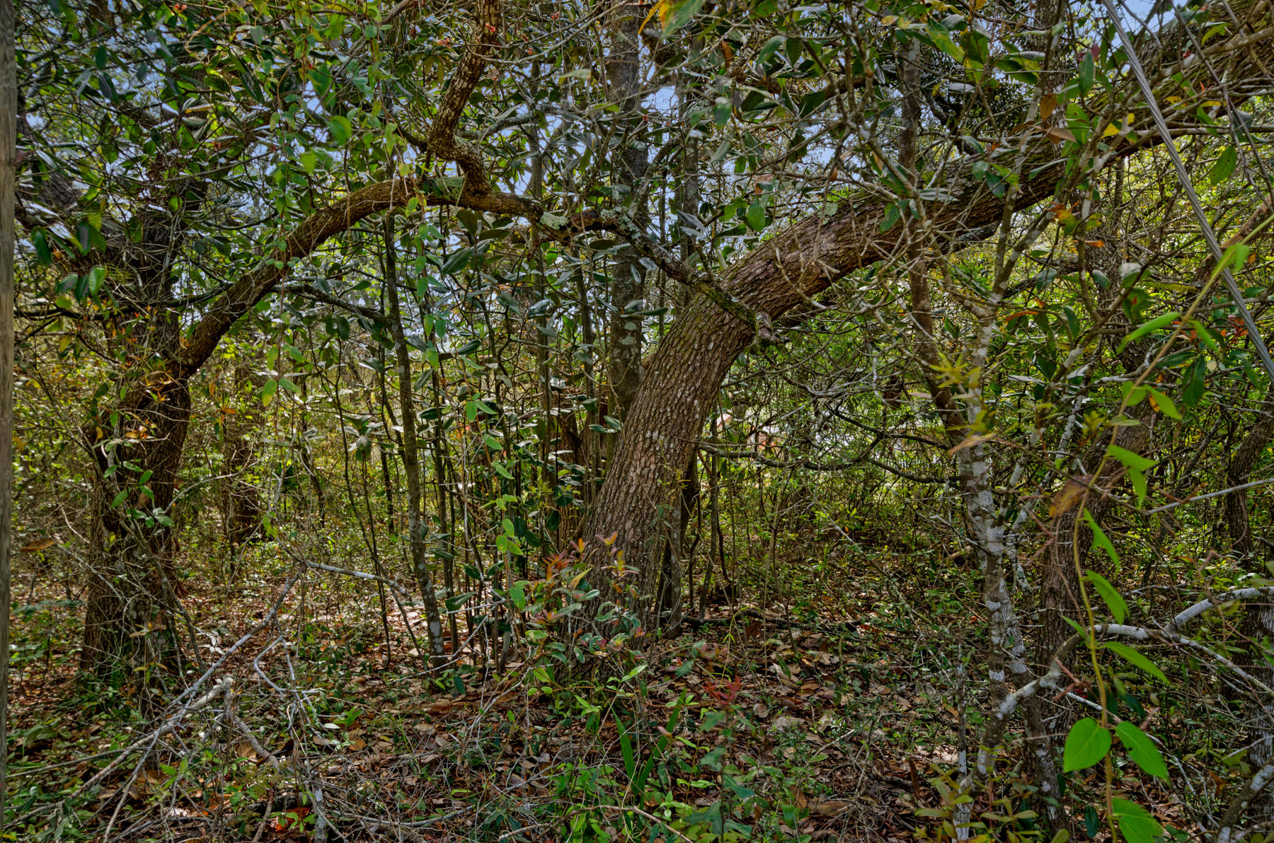 WOODLAND SHORES - Land