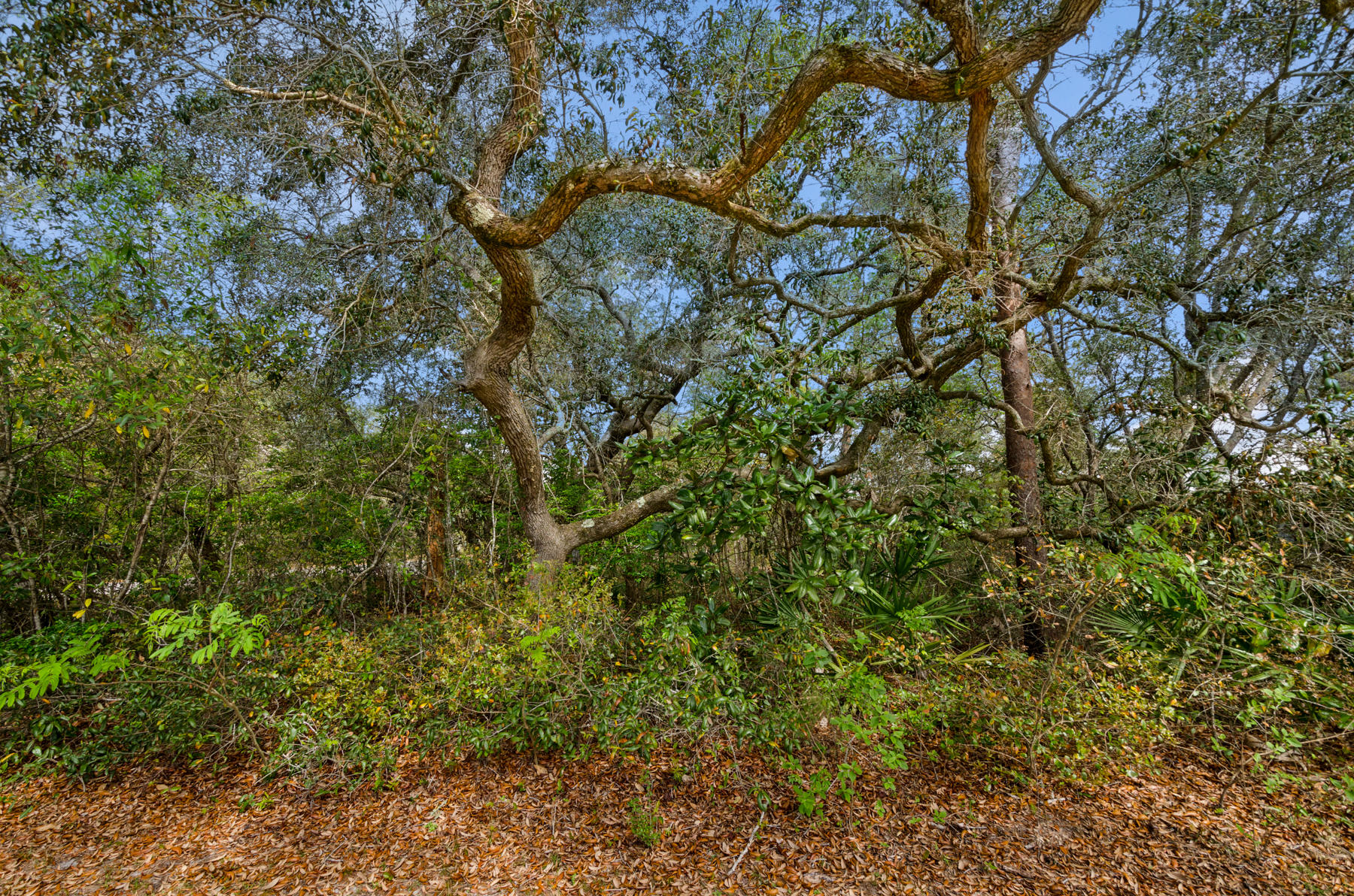 WOODLAND SHORES - Land
