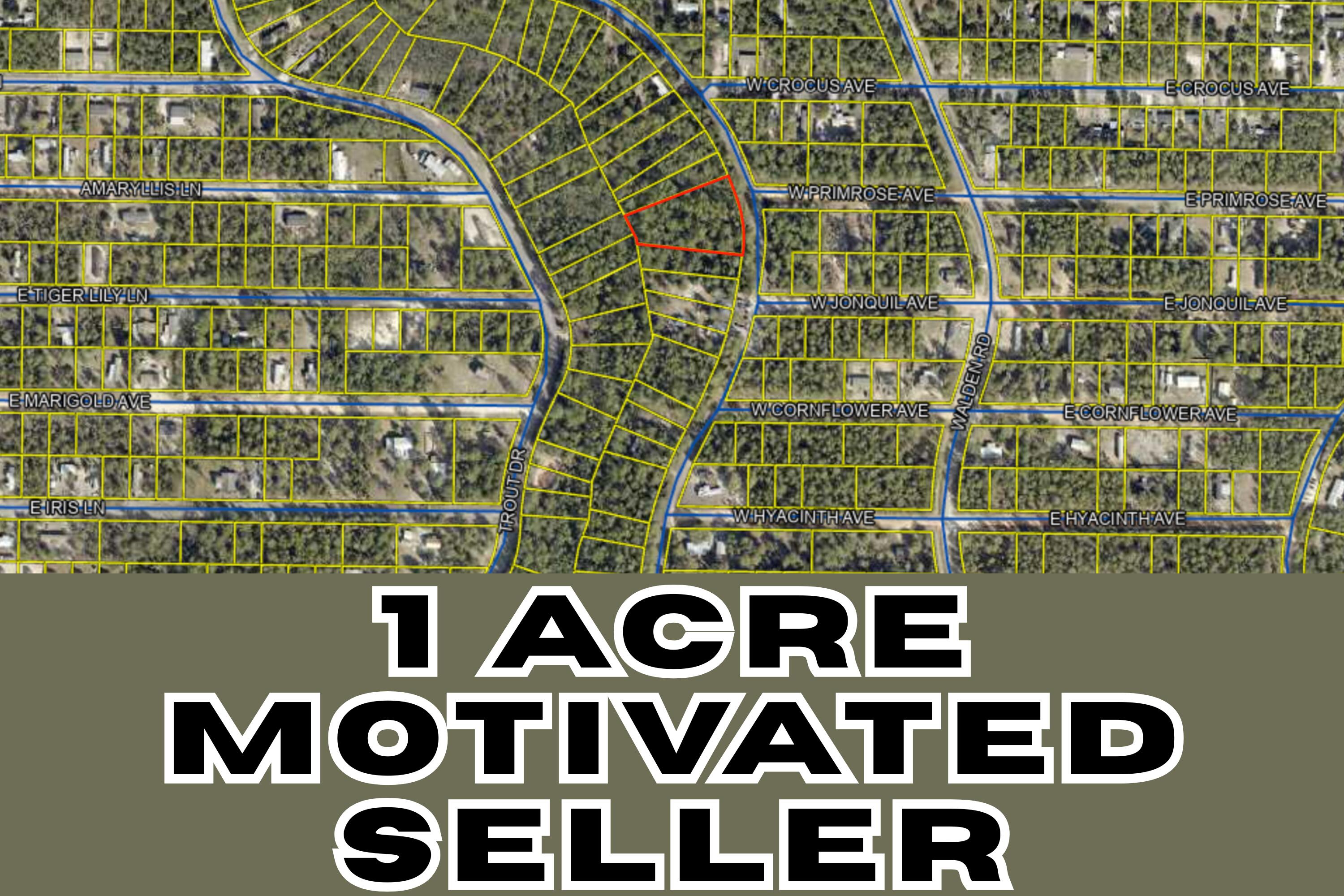 Build your dream home or place a new manufactured home on this beautiful, serene wooded lot—no HOA! Enjoy privacy, nature, and the freedom to create the perfect space for your lifestyle. Buyer to verify all dimensions. No Water or Electrical taps paid.