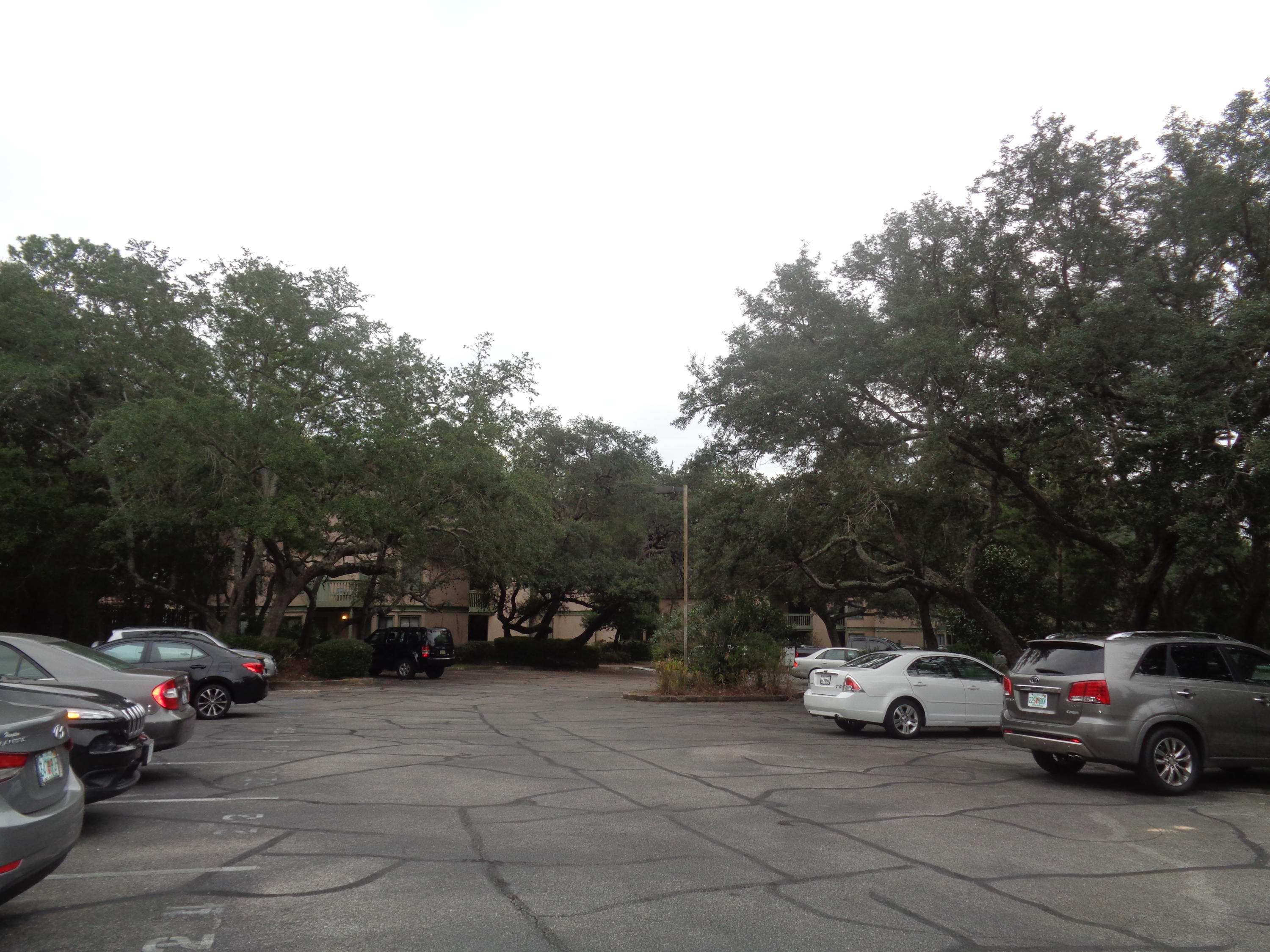 GARDEN OAKS CONDO - Residential Lease
