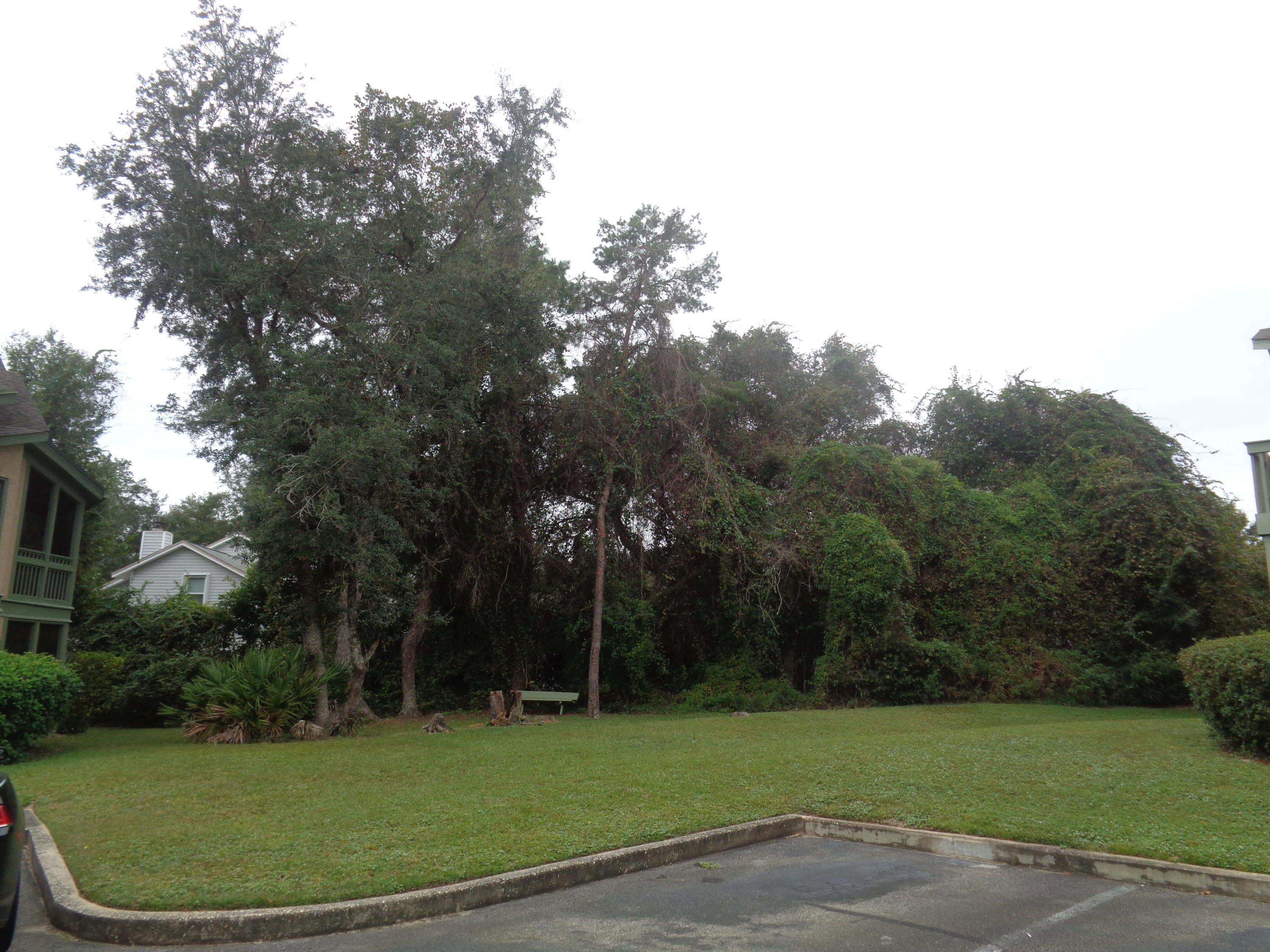 GARDEN OAKS CONDO - Residential Lease