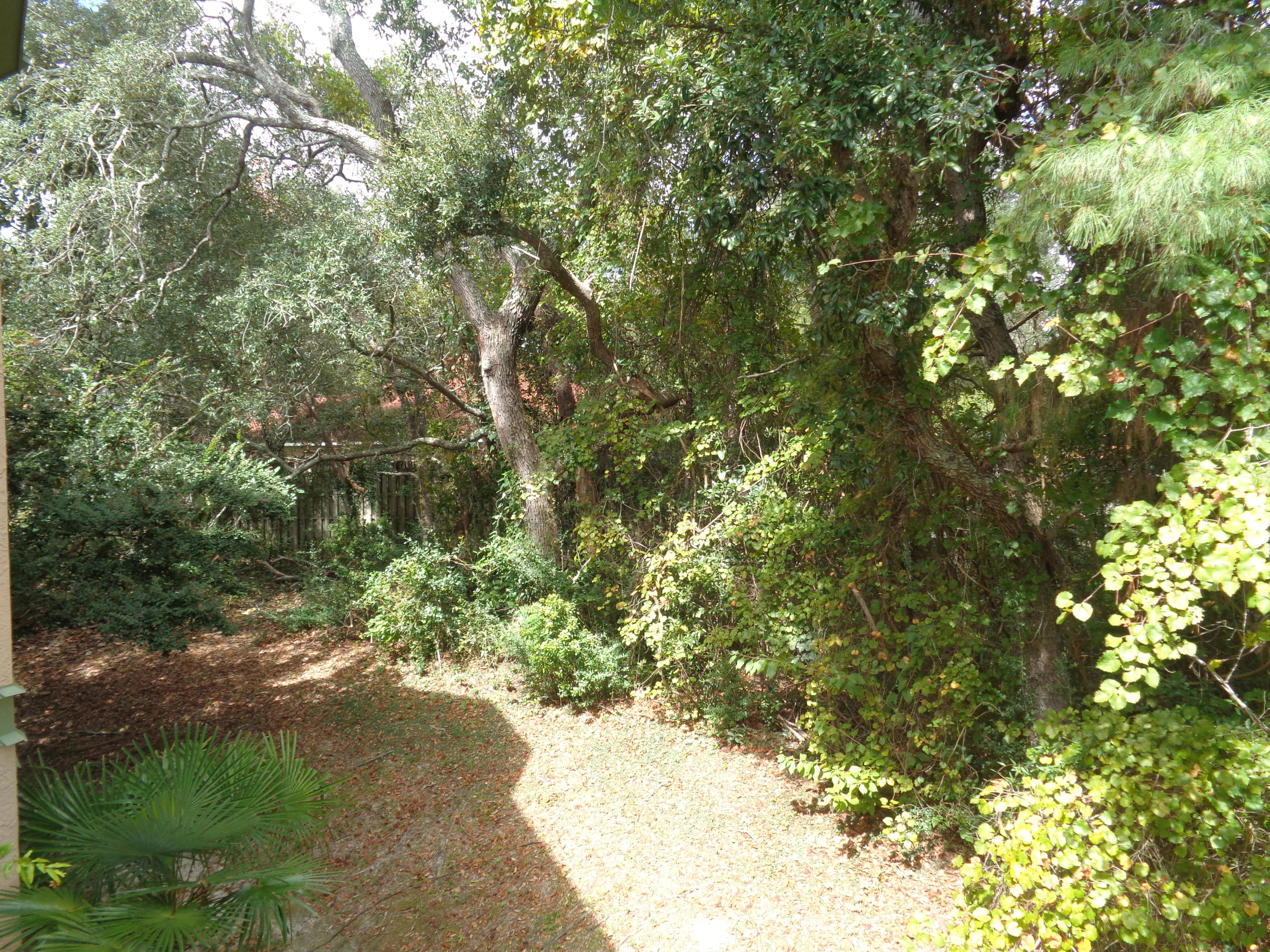 GARDEN OAKS CONDO - Residential Lease