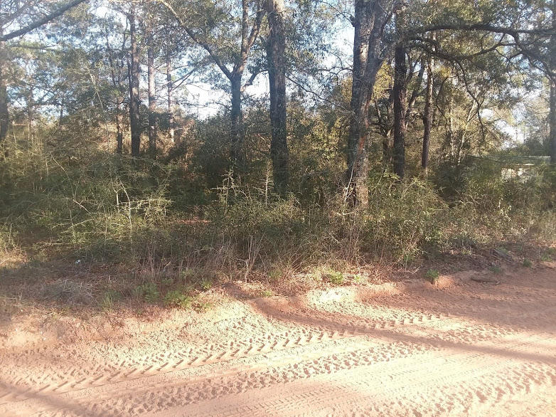 Nice lot on a county maintained road. Mobile home is okay. Located on the first road running adjacent to Highway 85 North. This parcel will be divided out of a current parcel with the address of 6291 Bethany Drive, Crestview. Utilities are not on the property, but will be septic, and available through Auburn Water and Chelco (or electric).