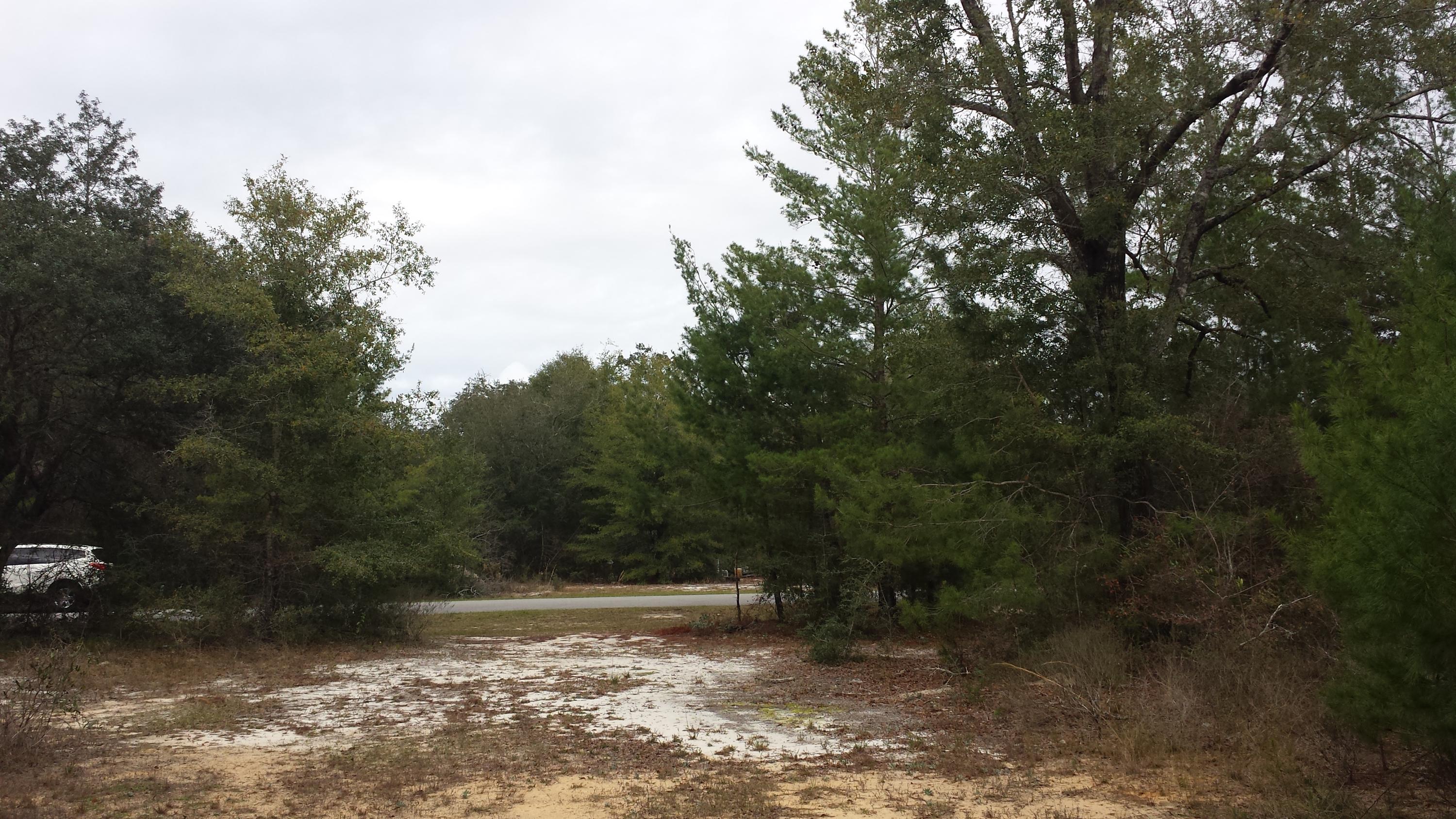 Magnolia Landing - Land