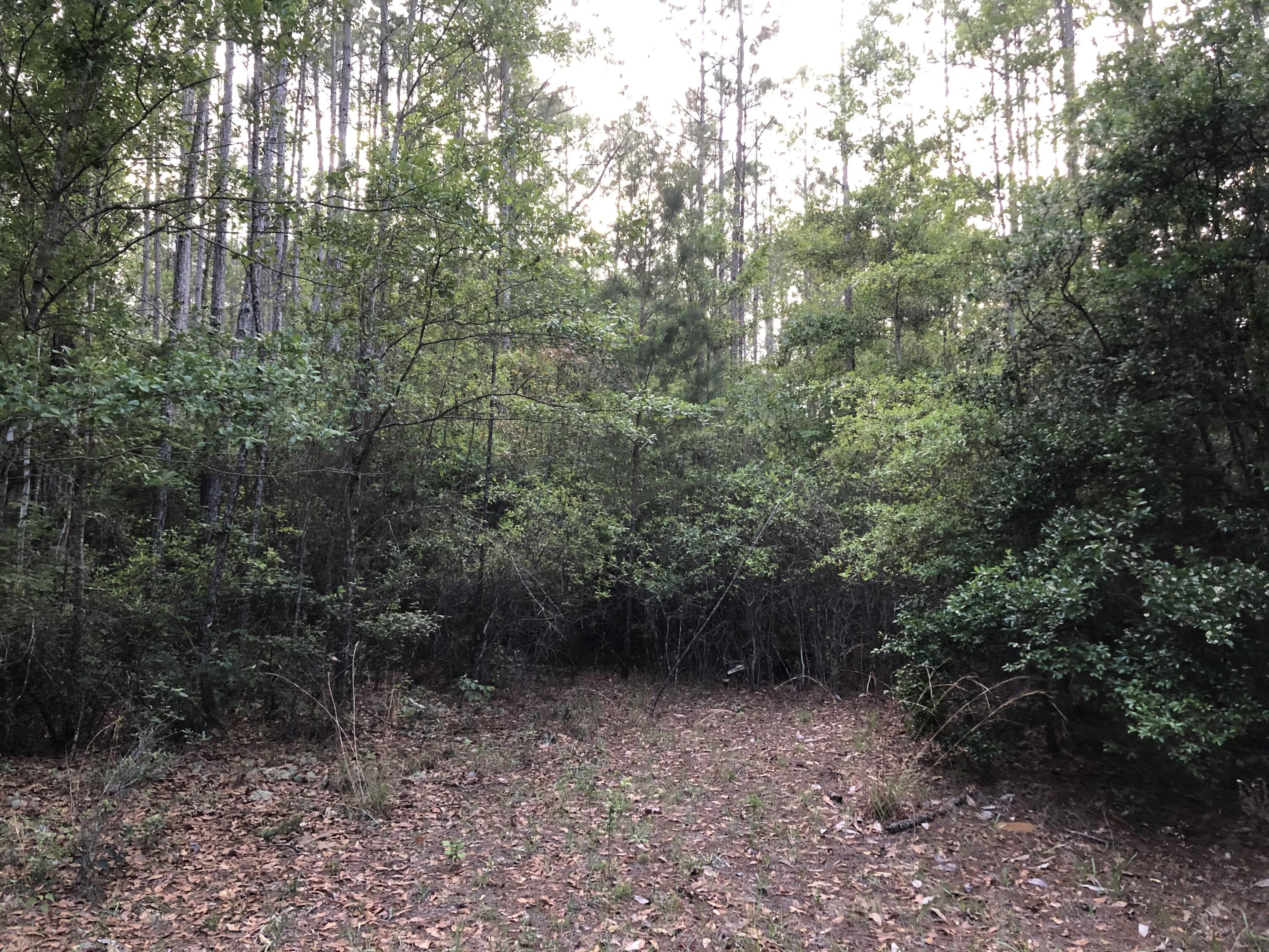 Here is your chance to own a large piece of Land in the beautiful and rapidly growing Freeport Florida! Just 15 minutes from the Sugar-white sand and turquoise waters of Blue Mountain Beach. Enjoy the seclusion of rural living, within minutes of all of the beauty and luxury of South Walton and 30a. Secluded enough to provide privacy, peace and quiet while still being close to town for convenience. Call today to make this property YOURS! Survey available upon request!

All measurements are approximate. Buyer to verify if important.