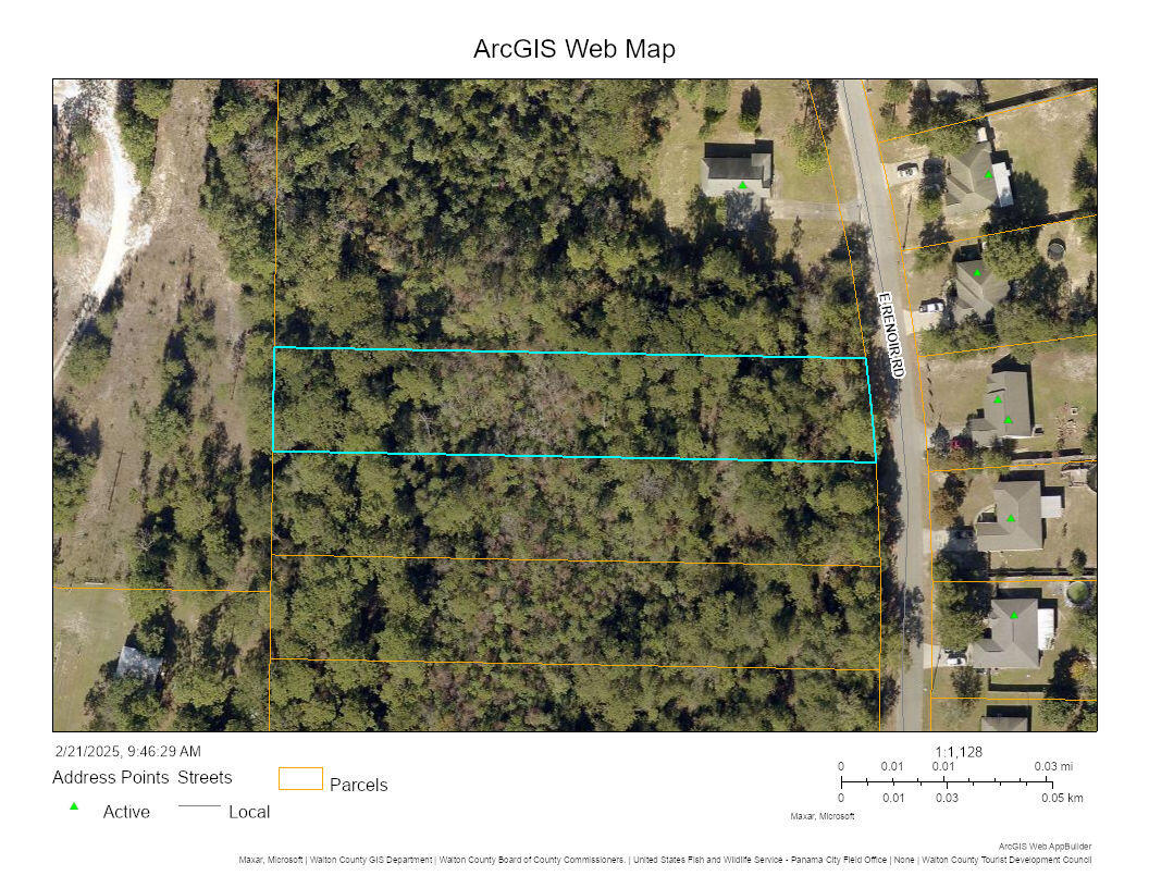 Check out this .85 acre lot ready for you to establish your new home & located less than 5 mins from town. Restrictions are minimal. Mobile homes, site built, or tiny homes allowed. No minimum sqft requirements. Zoned Urban Residential. This lot has a small creek/wetlands. *Flood Zone X on the front portion with a slight slope down to the creek/wetlanda & Flood Zone A at the back. *Electric & city water at E Renoir Rd *Septic Required. *No Active HOA or assessment fees. Buyer needs to verify building codes, zoning regulations, wetlands & flood zones, etc with proper local authorities to ensure the ability to utilize the property for intended use.