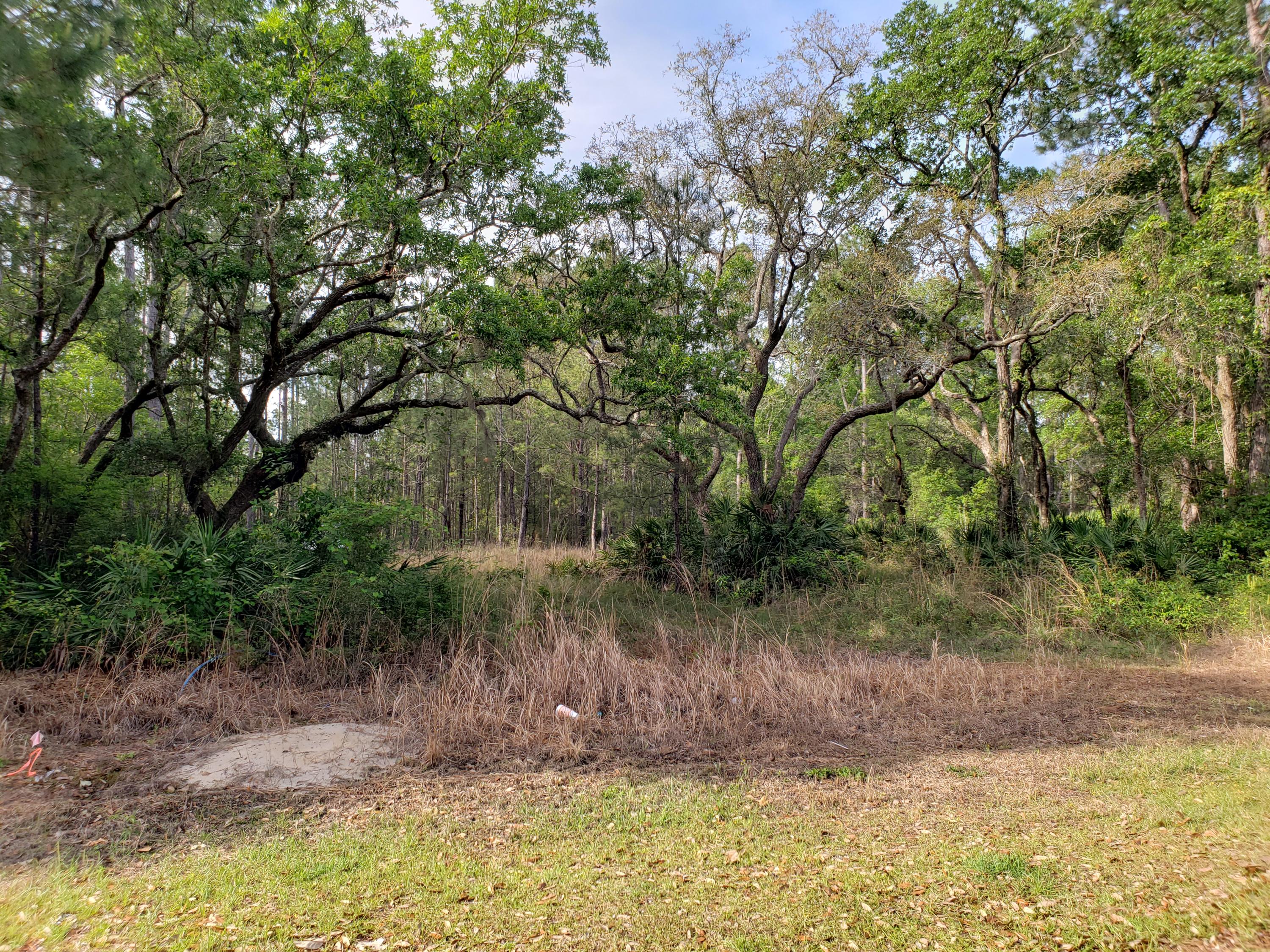 BAYOU BEND - Land