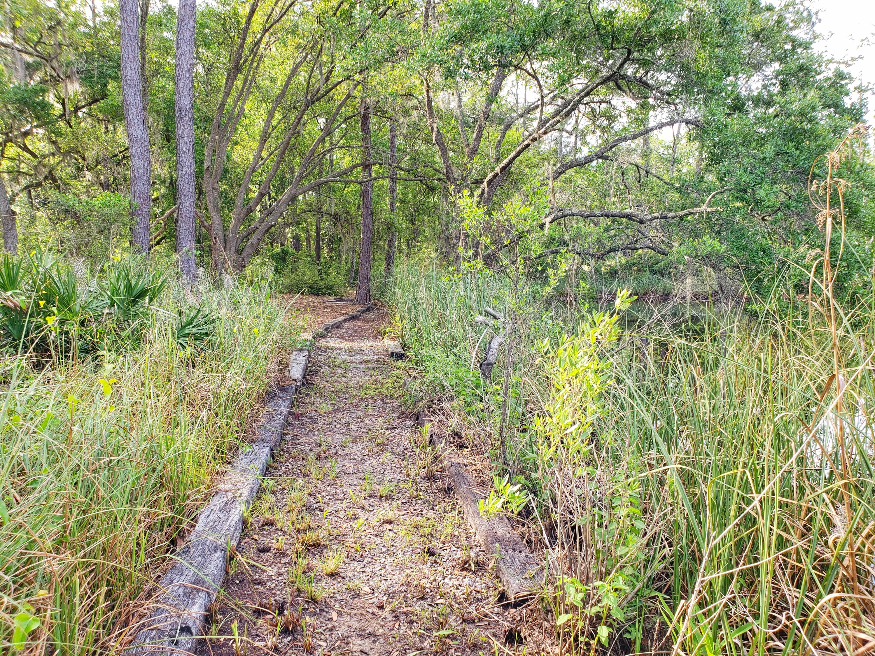 BAYOU BEND - Land