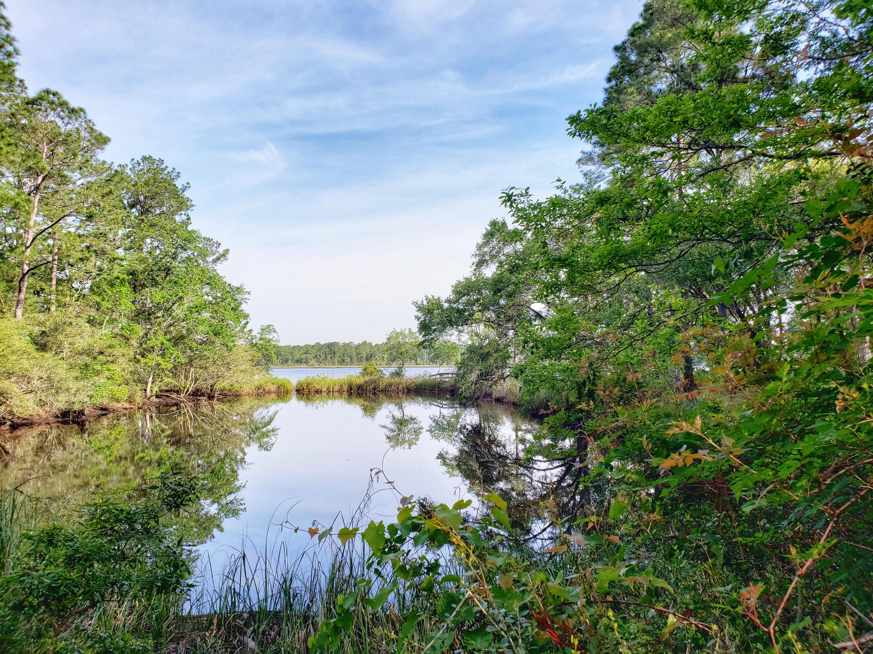 BAYOU BEND - Land