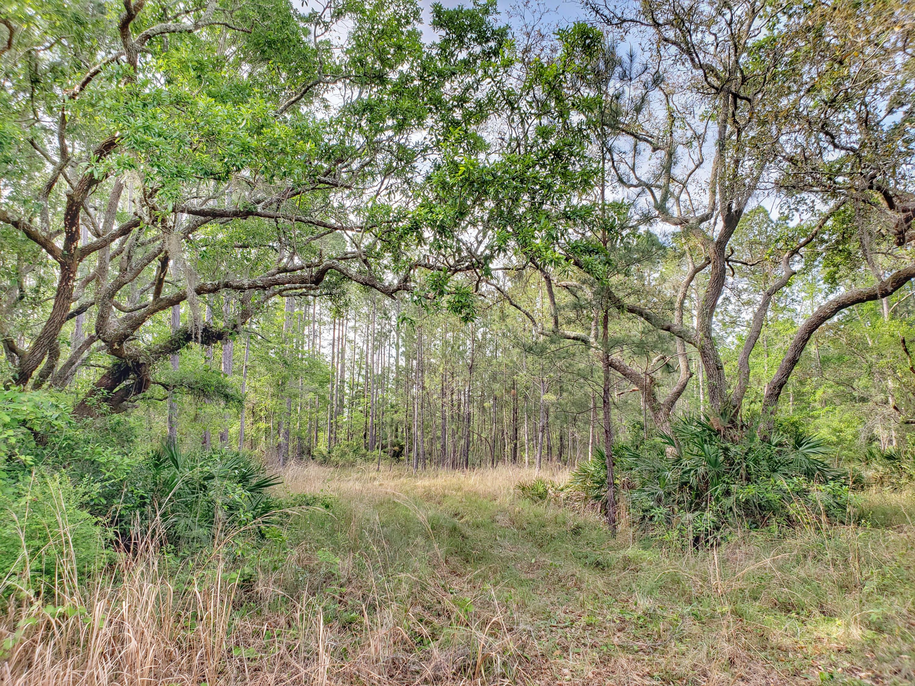 BAYOU BEND - Land