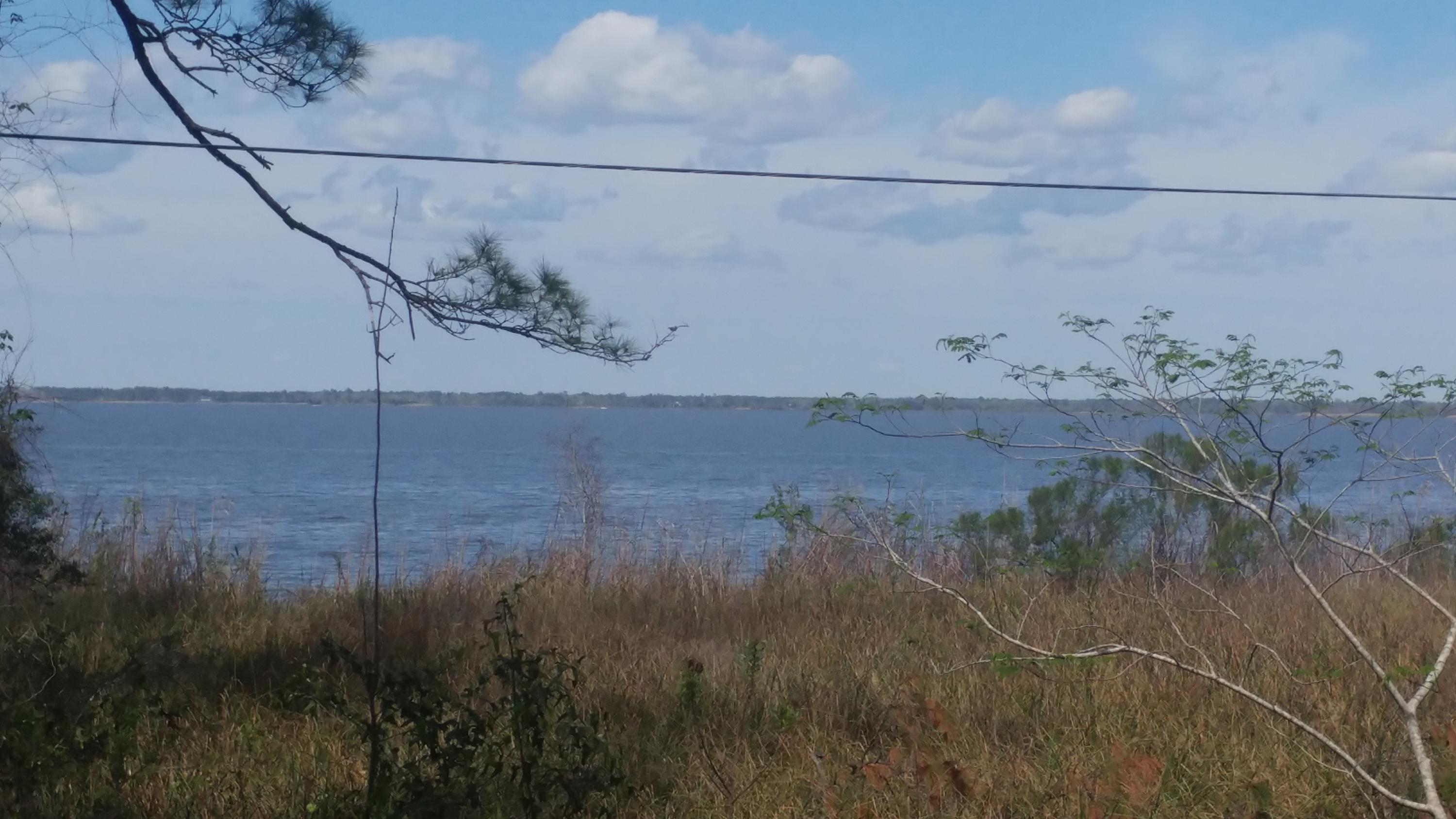 Beautiful corner lot across the street from the bay.
Bay access right next to the lot for paddle boarding etc. Environmental study just done indicates lot is ALL UPLAND. Lot runs from street to street from Quiet Water Trail to Daisy. Build facing the bay with the garage behind the house . County has allowed carriage house garage on similar lots but buyer should verify . No HOA no build out time .
Adjoining lot is also available.
Magnolia Beach is north of Grayton Beach and Watercolor . Owner willing to accept lower sales price for purchase of lots 39 and 40 sold together.
