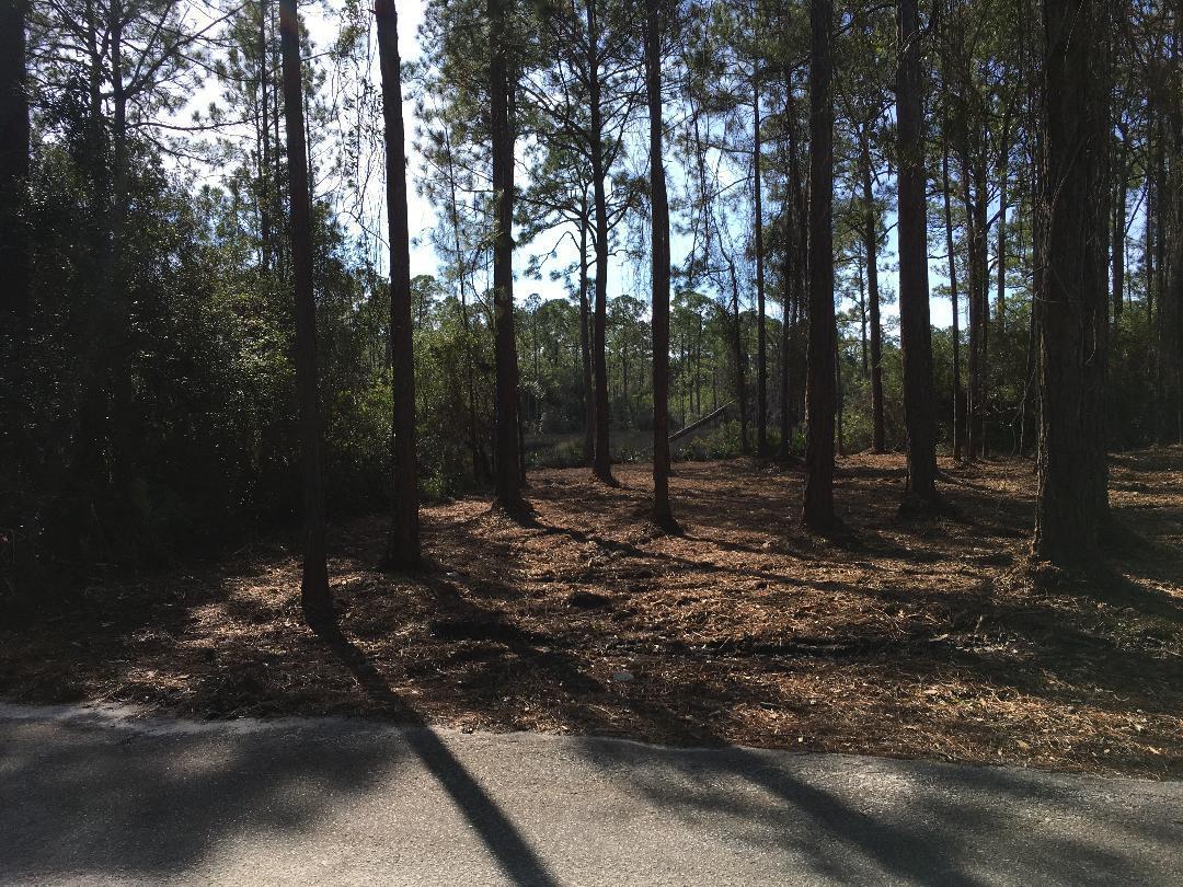 BAY PINES - Land