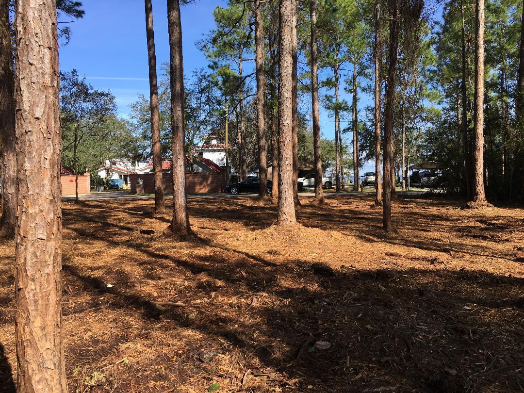 BAY PINES - Land