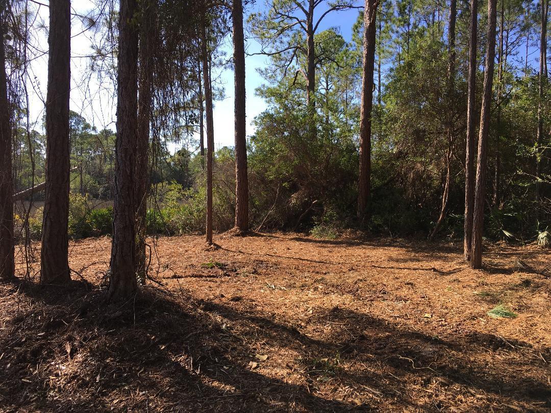 BAY PINES - Land