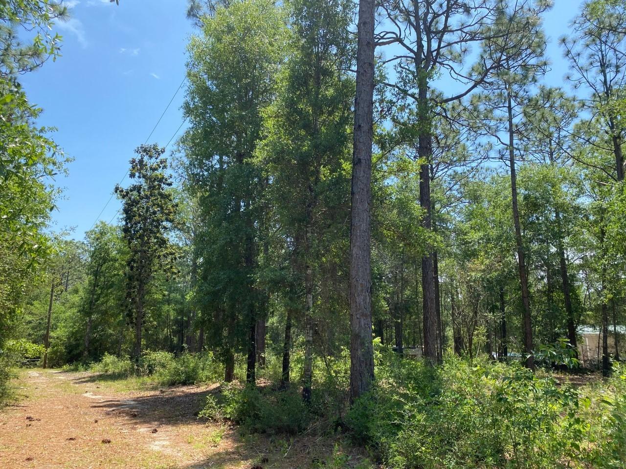 KING LAKE ESTATES - Land