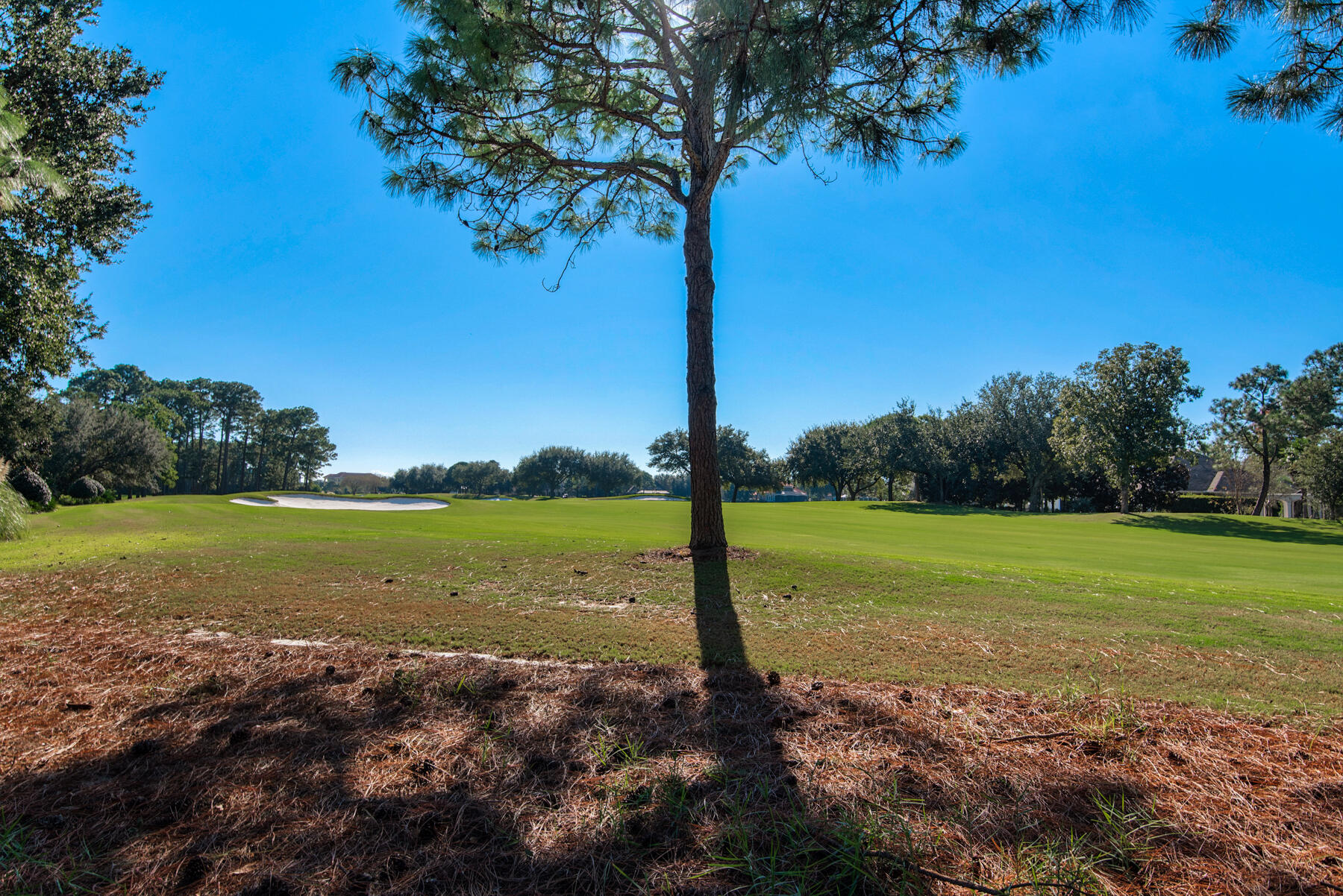 KELLY PLANTATION S/D - Residential