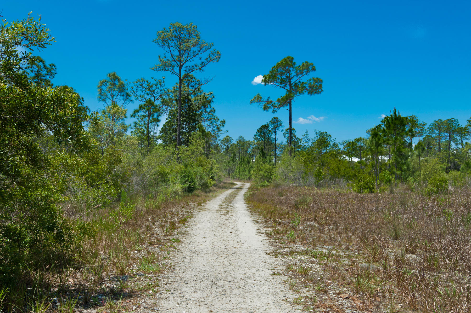 NatureWalk at Seagrove - Residential