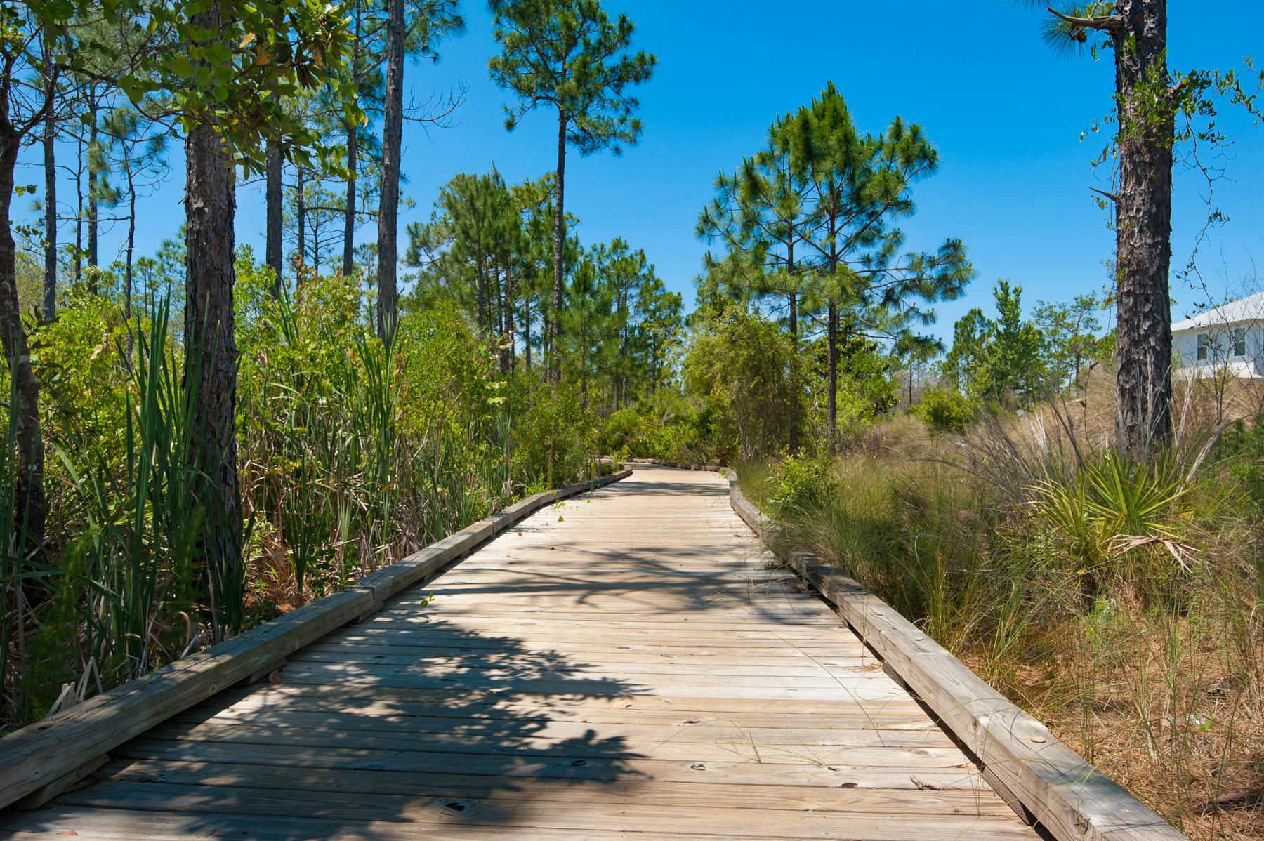 NatureWalk at Seagrove - Residential