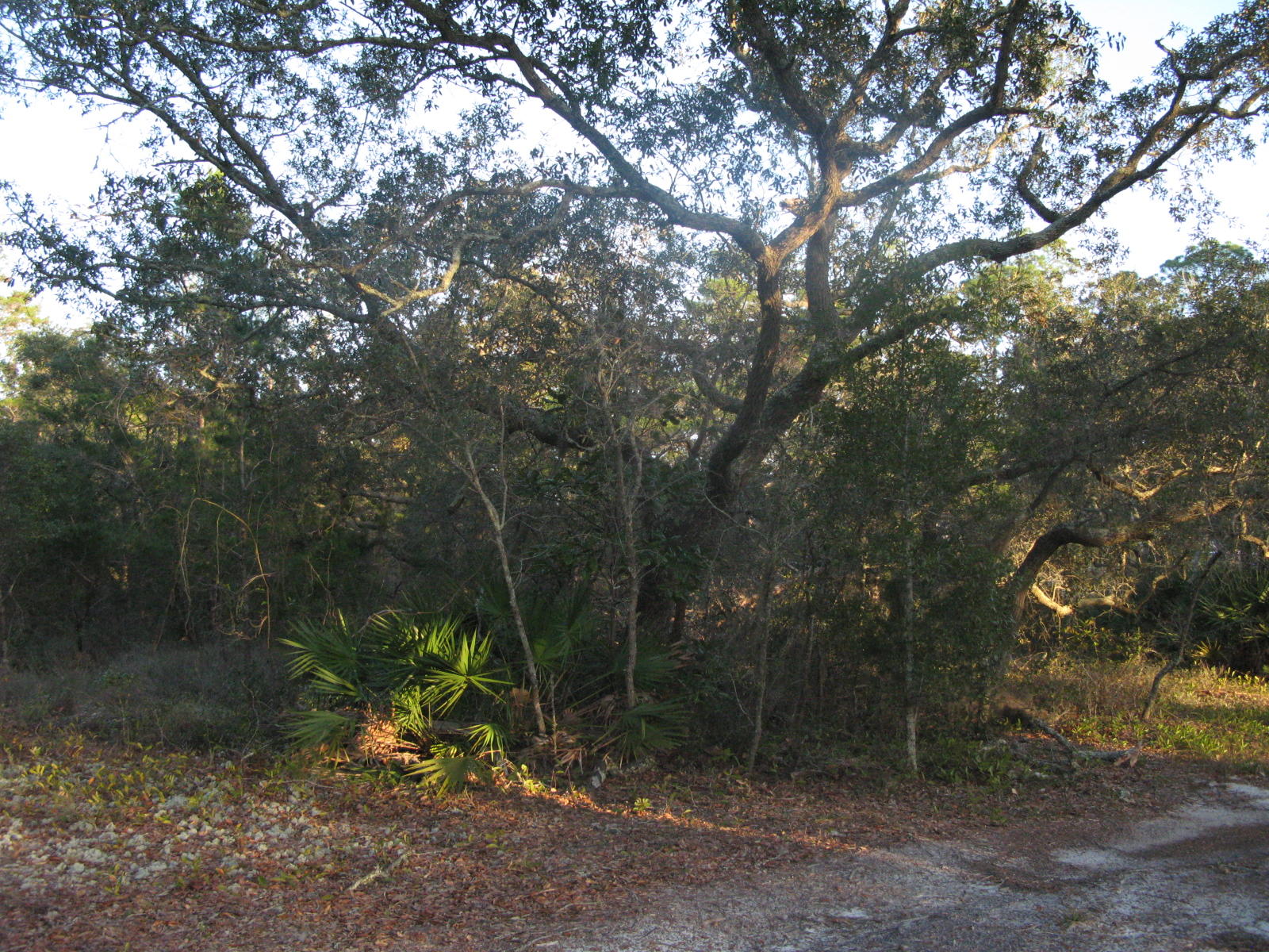 EAST BAY HEIGHTS - Land