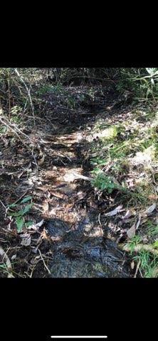 31 3 12 12.08 ORB 1237 P 416 LOT 32E HIGHVIEW ACRES EAST AS DESC IN ORB 1237 P 416 - Land