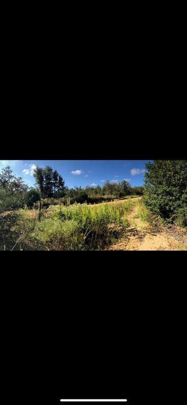31 3 12 12.08 ORB 1237 P 416 LOT 32E HIGHVIEW ACRES EAST AS DESC IN ORB 1237 P 416 - Land