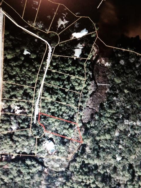 Beautiful wooded .7 acre LOT WITH 125 FEET on stream in Clay's Bayou. Lot dimensions are 125x242. Small boat access, as shown in pictures, to the Bay. There is a pier built on the Bayou, but not on this lot. Eden Bay Estates is an unique Bay front subdivision with an old south personality with its huge Live Oaks, Magnolias and Pine trees. Eden Bay Estates has an active owners HOA with restrictions and covenants for an annual fee of $100.00.