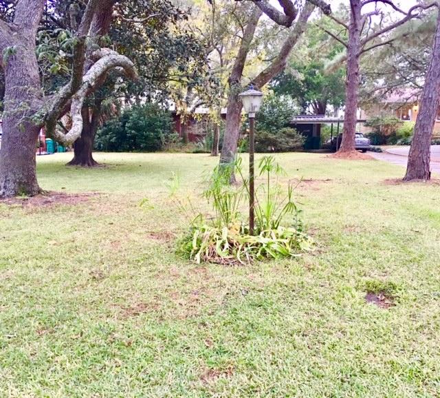 SHALIMAR PARK - Residential Lease