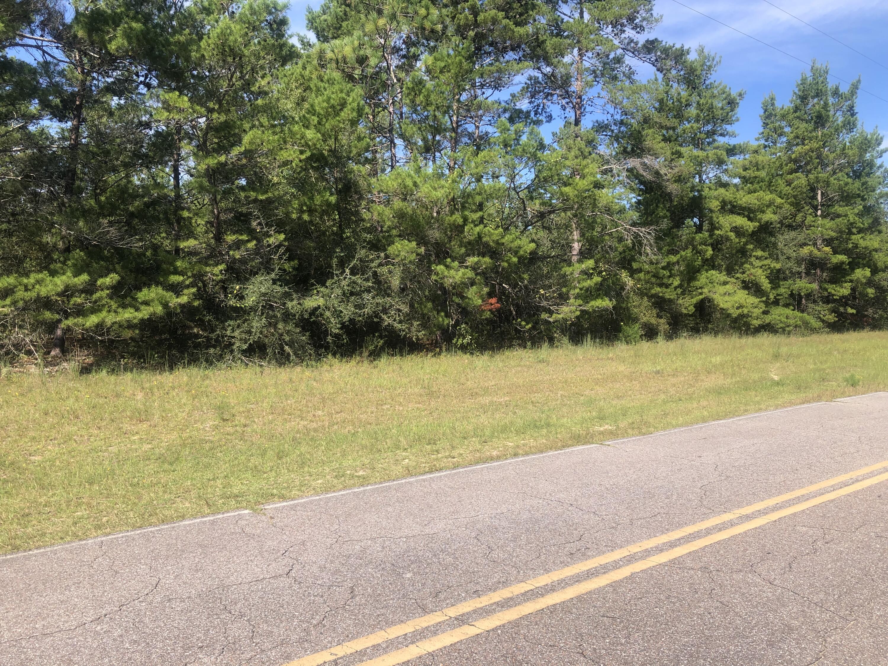 Come home to the country and enjoy the peace and quiet of this beautiful property.  Wooded lot where you can make it what you want.  Build your dream home and relax.  Mobiles allowed. Paved Coutny Rd with easy access to Defuniak Springs, Crestview I 10 and Eglin.